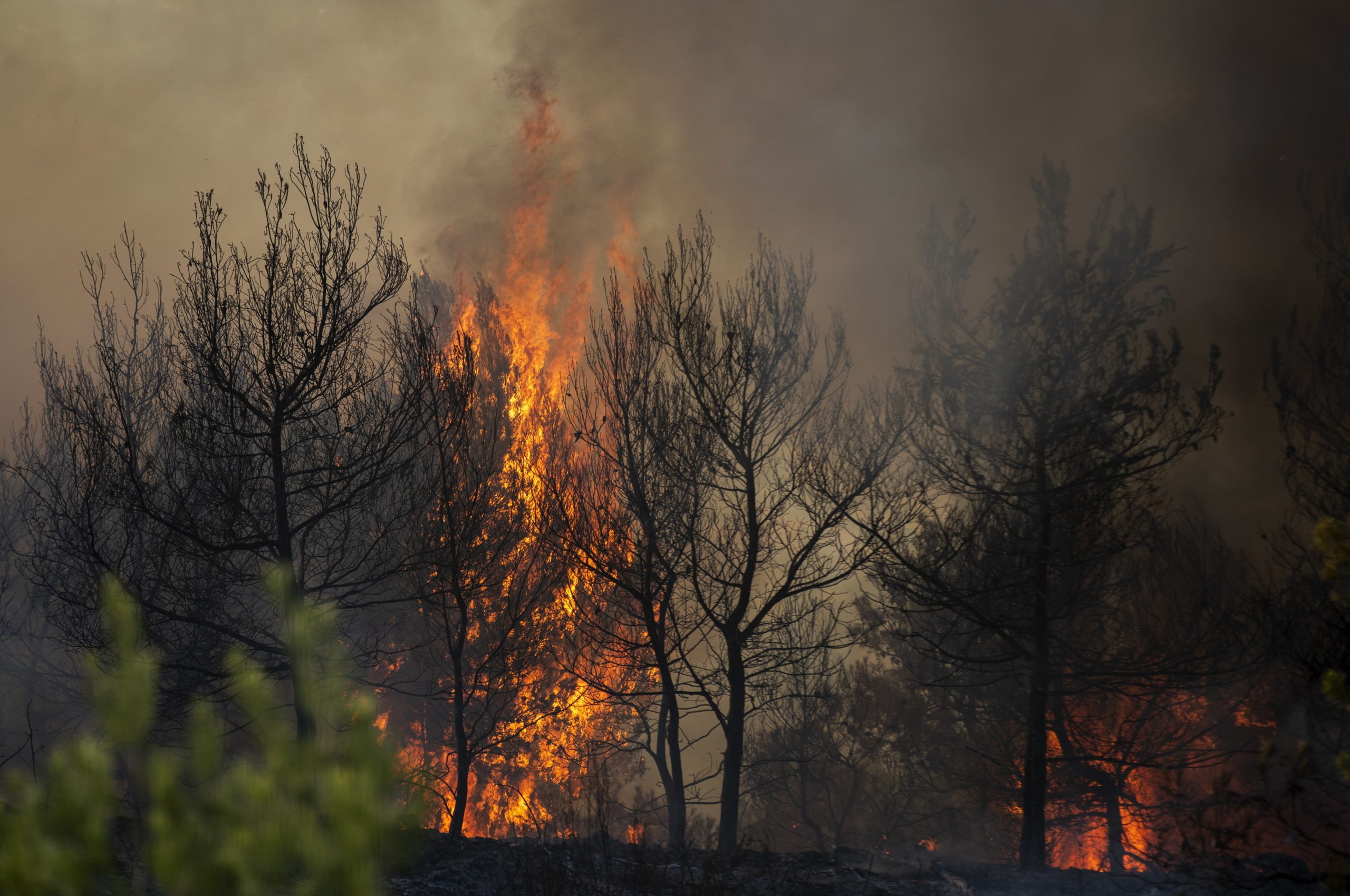 Milhares de pessoas retiradas em Israel e Cisjordânia devido a vaga de incêndios