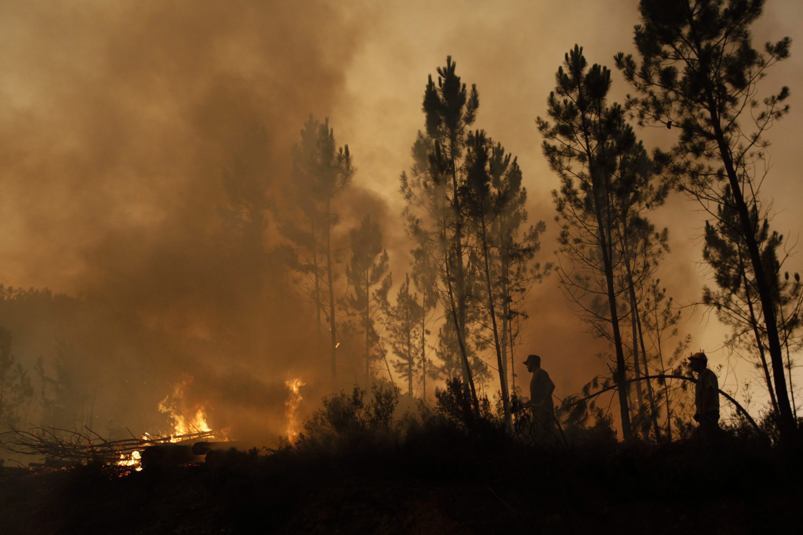 Câmara de Gavião ativa Plano de Emergência Municipal devido aos fogos