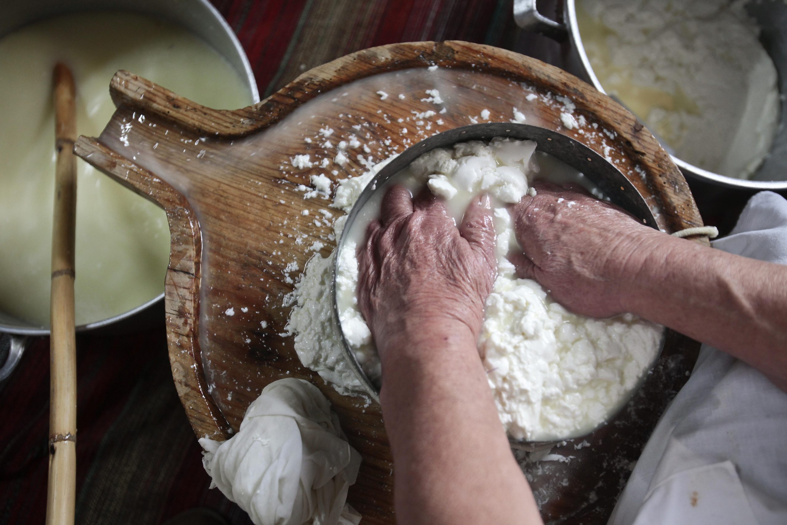 Nisa: ASAE apreende quase duas toneladas de queijo no valor de 15.200 euros