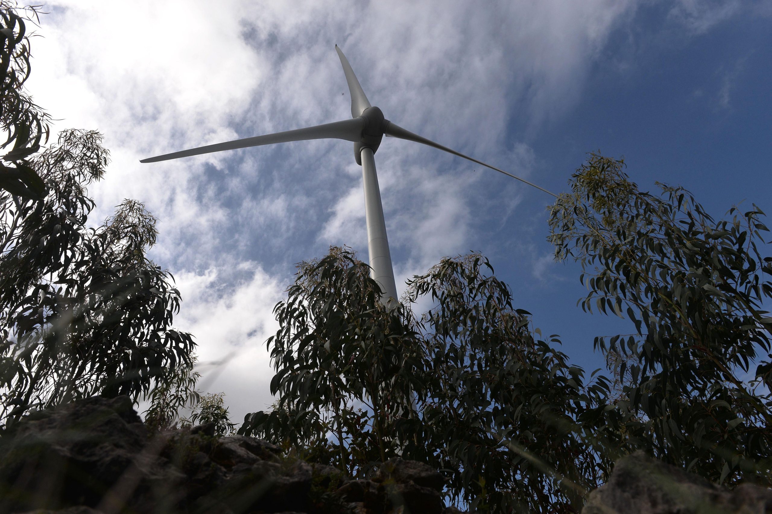 Produção de energia renovável excedeu consumo em Portugal pela primeira vez