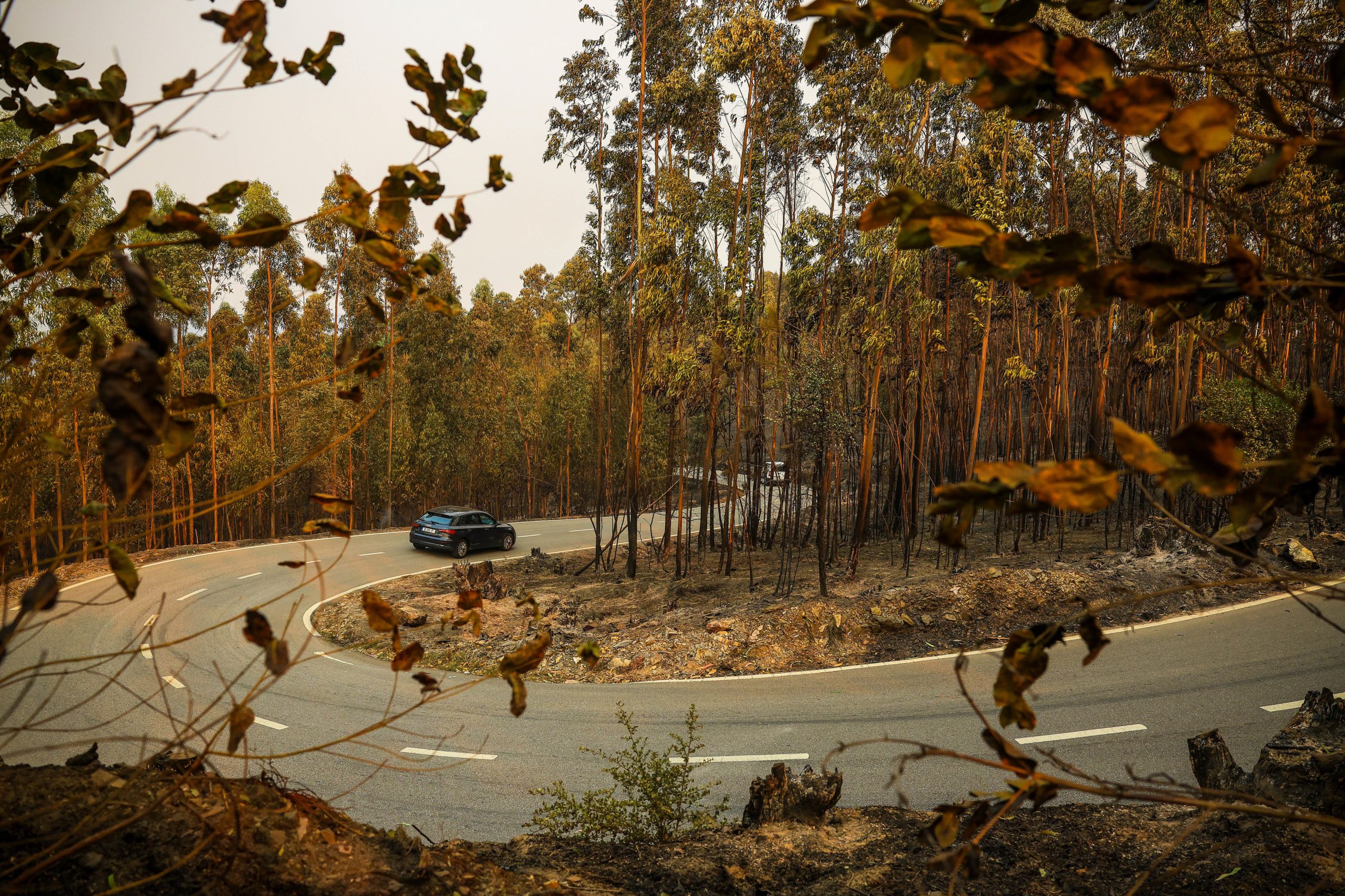 Programa de 2018 para reabilitar incendiários continua sem ser implementado