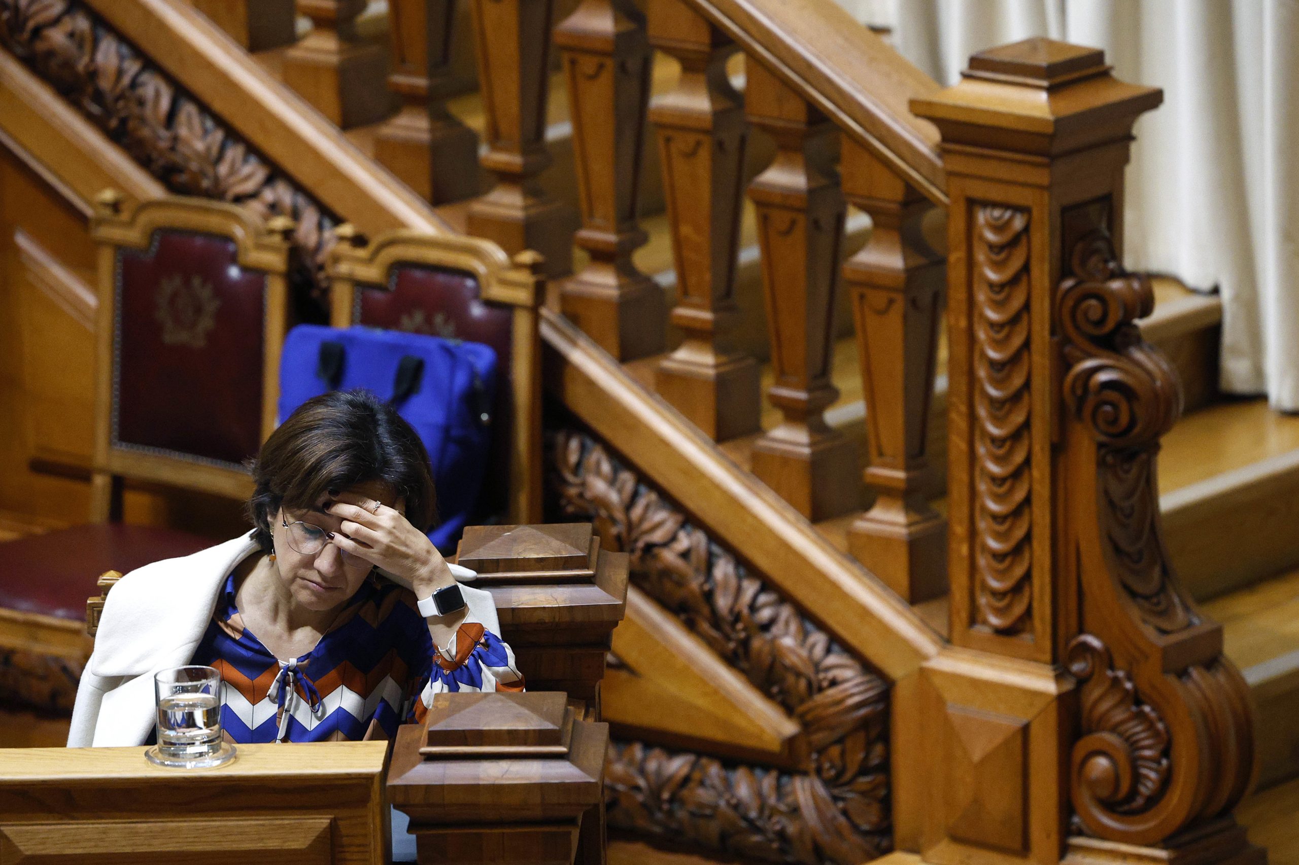 Parlamento aprova audição da ministra da Agricultura