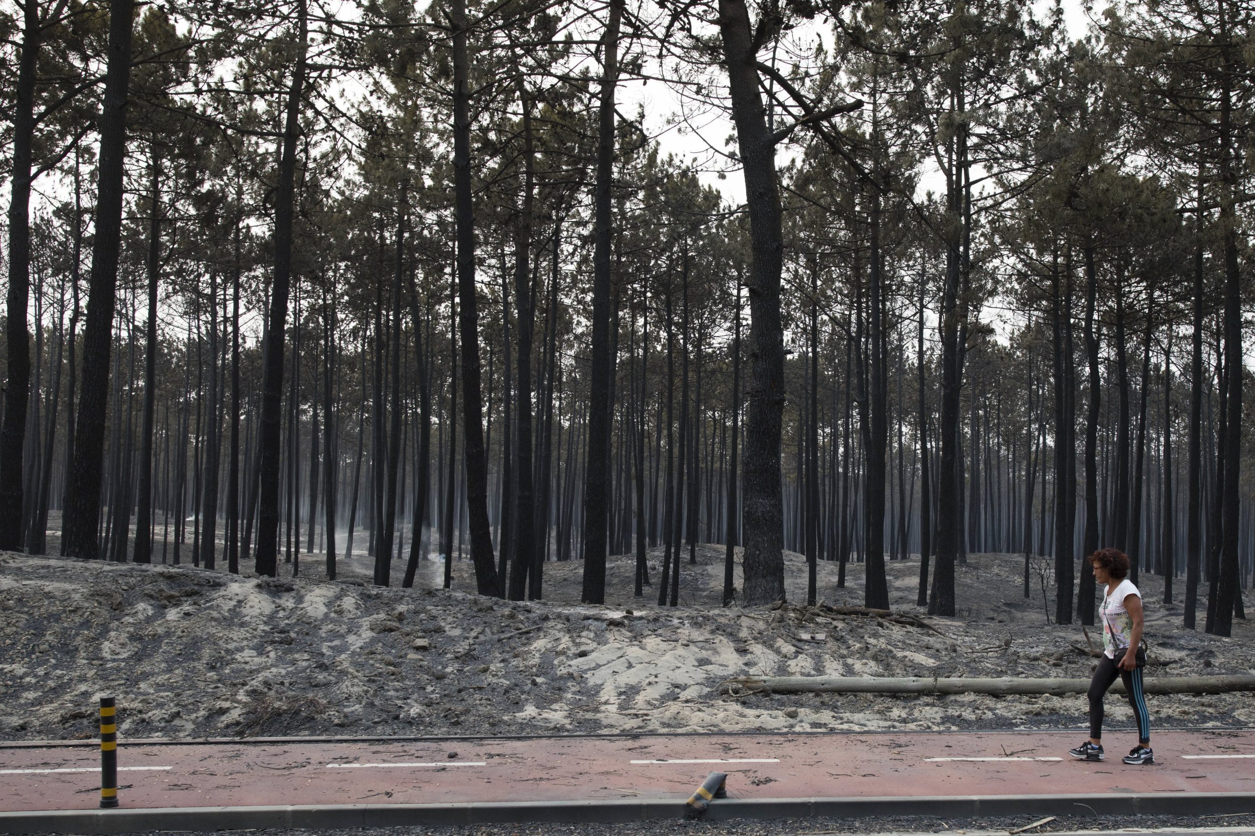 Incêndios. Bruxelas deve considerar despesas como “excecionais”