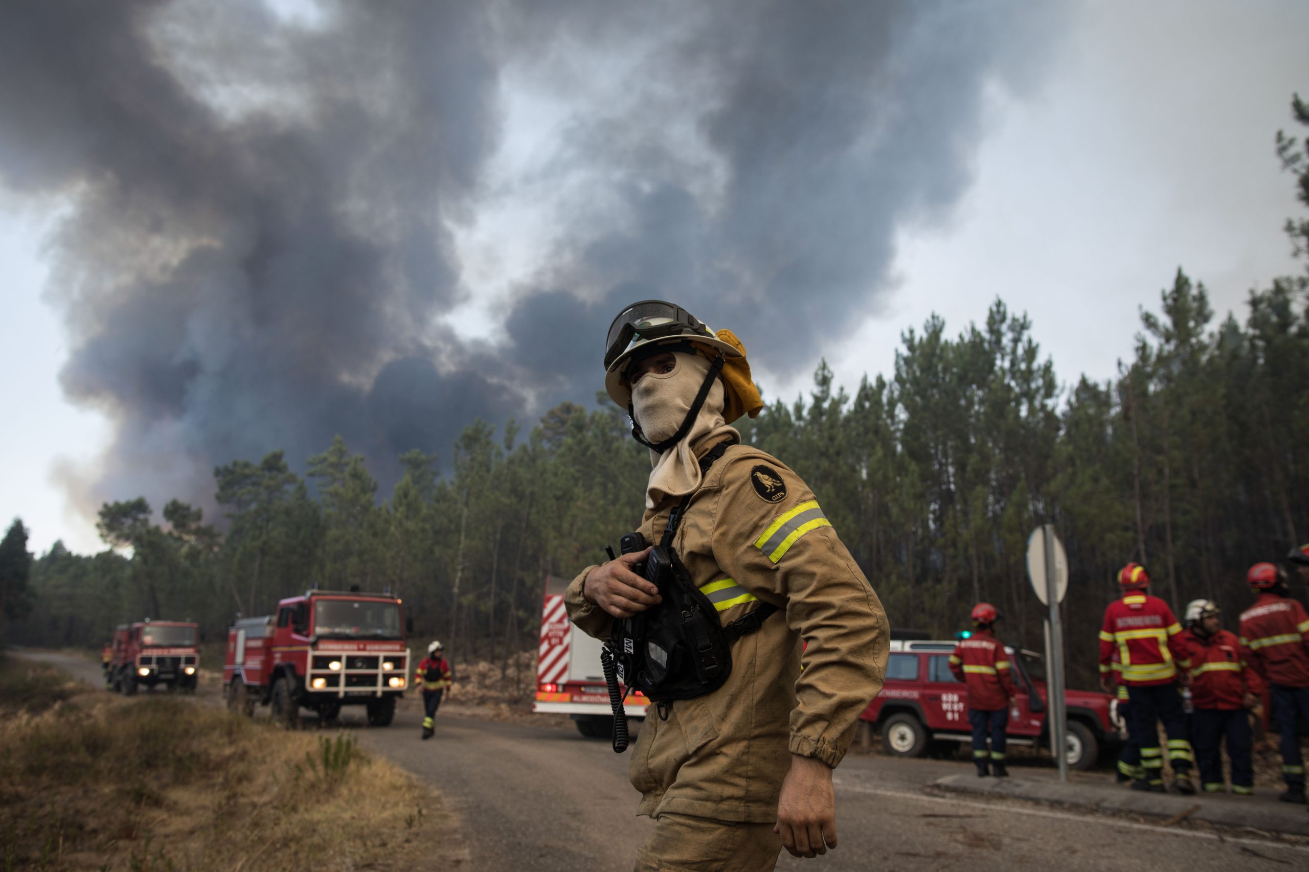 Incêndios: Mais de 1.300 operacionais combatem as chamas em Mação e Gavião