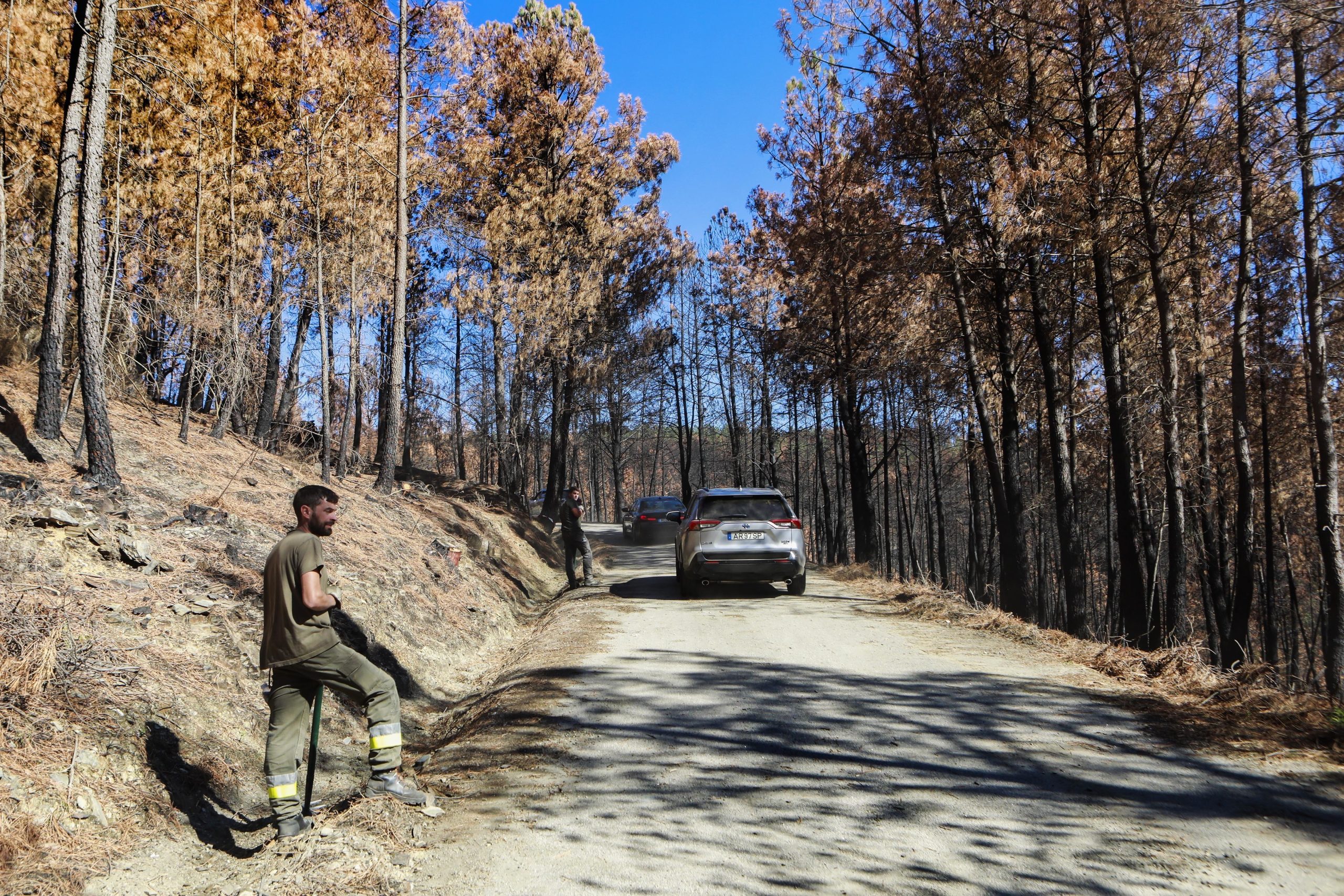 Incêndios de 2022 na Serra da Estrela: IP apresenta solução para reabrir circulação entre entre Piornos e Manteigas