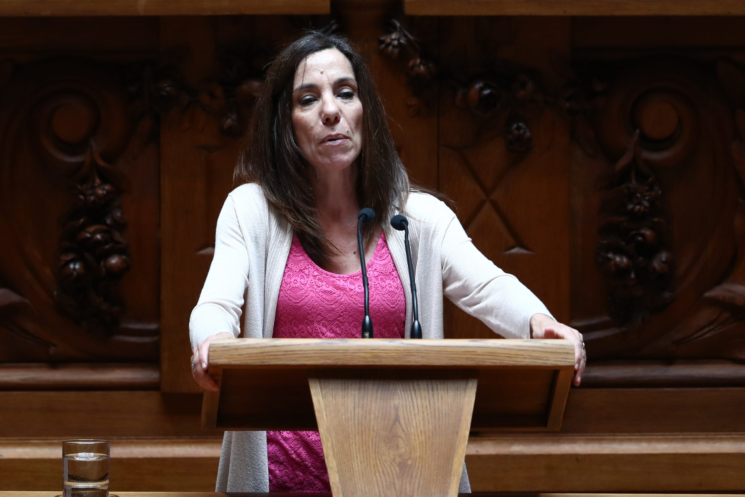 ‘Verdes’ lamentam um Governo a “fazer bonito para Bruxelas”