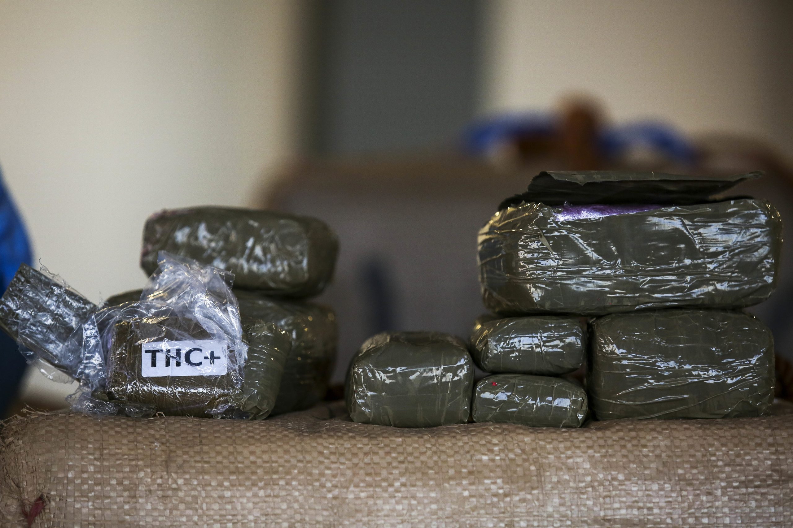 PSP apreende 10 mil doses de drogas e 44 mil euros em operação no Grande Porto