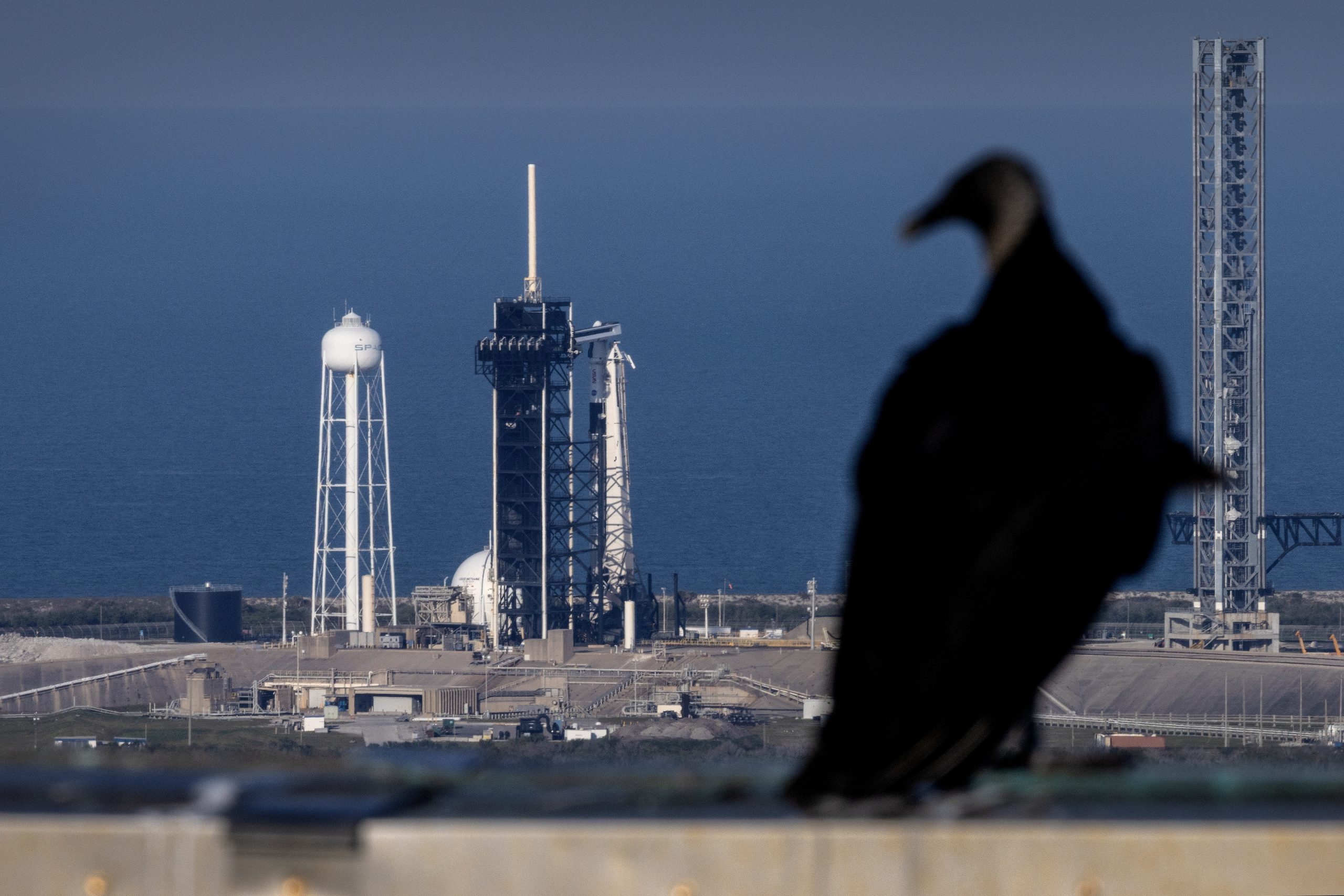 SpaceX lança primeira missão espacial tripulada sobre os pólos da Terra
