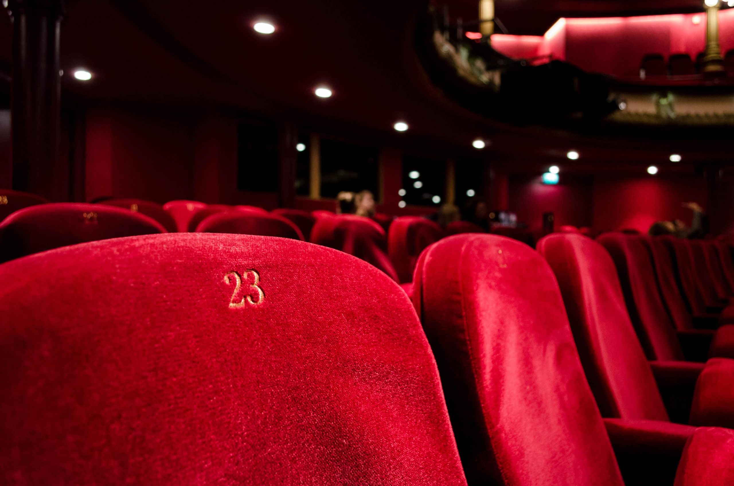 Conversas “Eu cá, tu lá”, peças de teatro e aprender a cozinhar. Já sabe o que vai fazer esta quinta-feira?