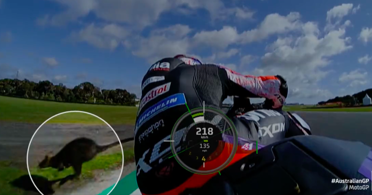 MotoGP: Canguru invade pista na Austrália