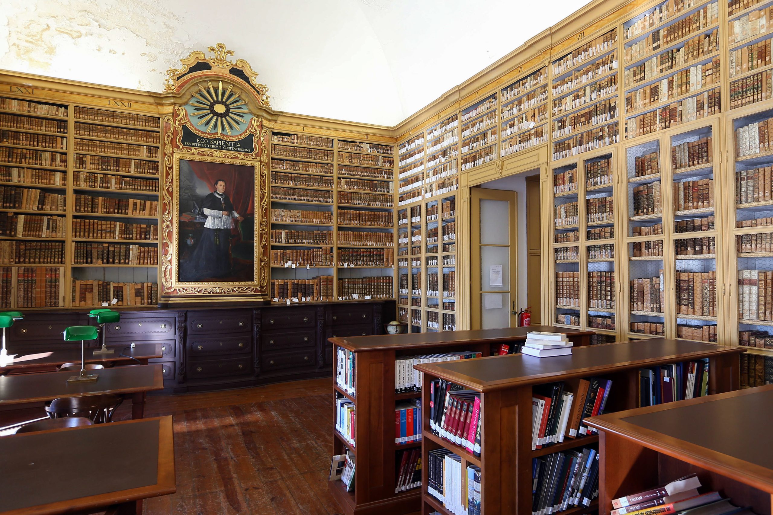 Mais de metade da Rede de Bibliotecas Públicas faz ‘take-away’ ou entrega ao domicílio