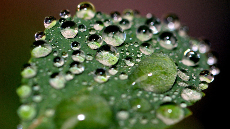 Tempo: Chuva regressa à entrada para o fim-de-semana prolongado