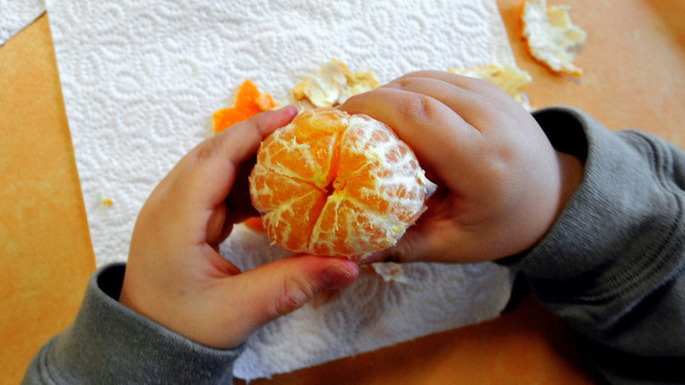 Seis em cada dez crianças não consomem dose recomendada de fruta e legumes