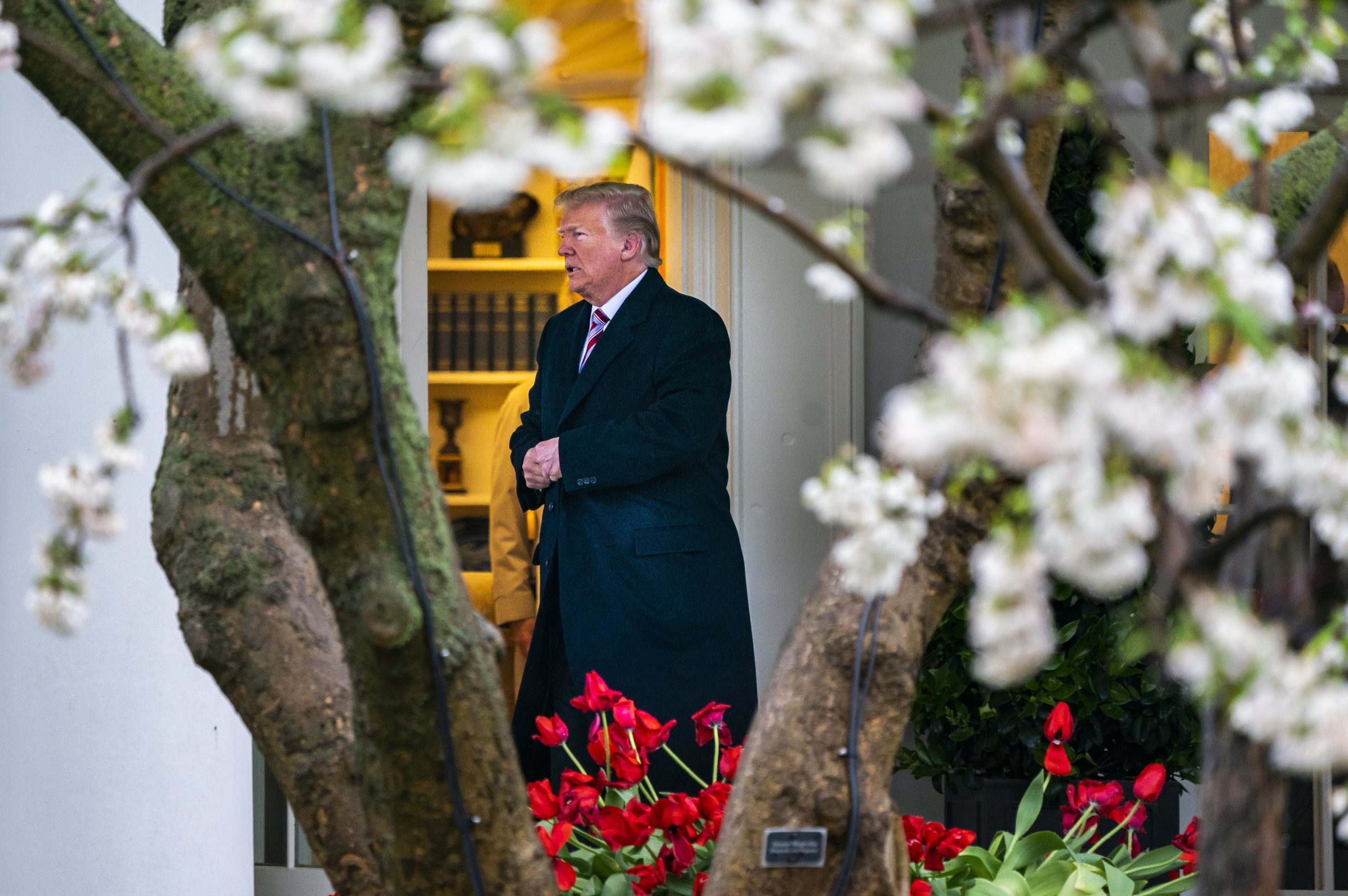 Trump elogia atitude “aberta” e “respeitável” de líder norte-coreano