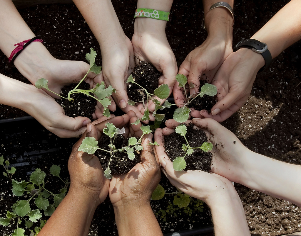 Construir um futuro sustentável: é de pequenino que se aprende a proteger o ambiente