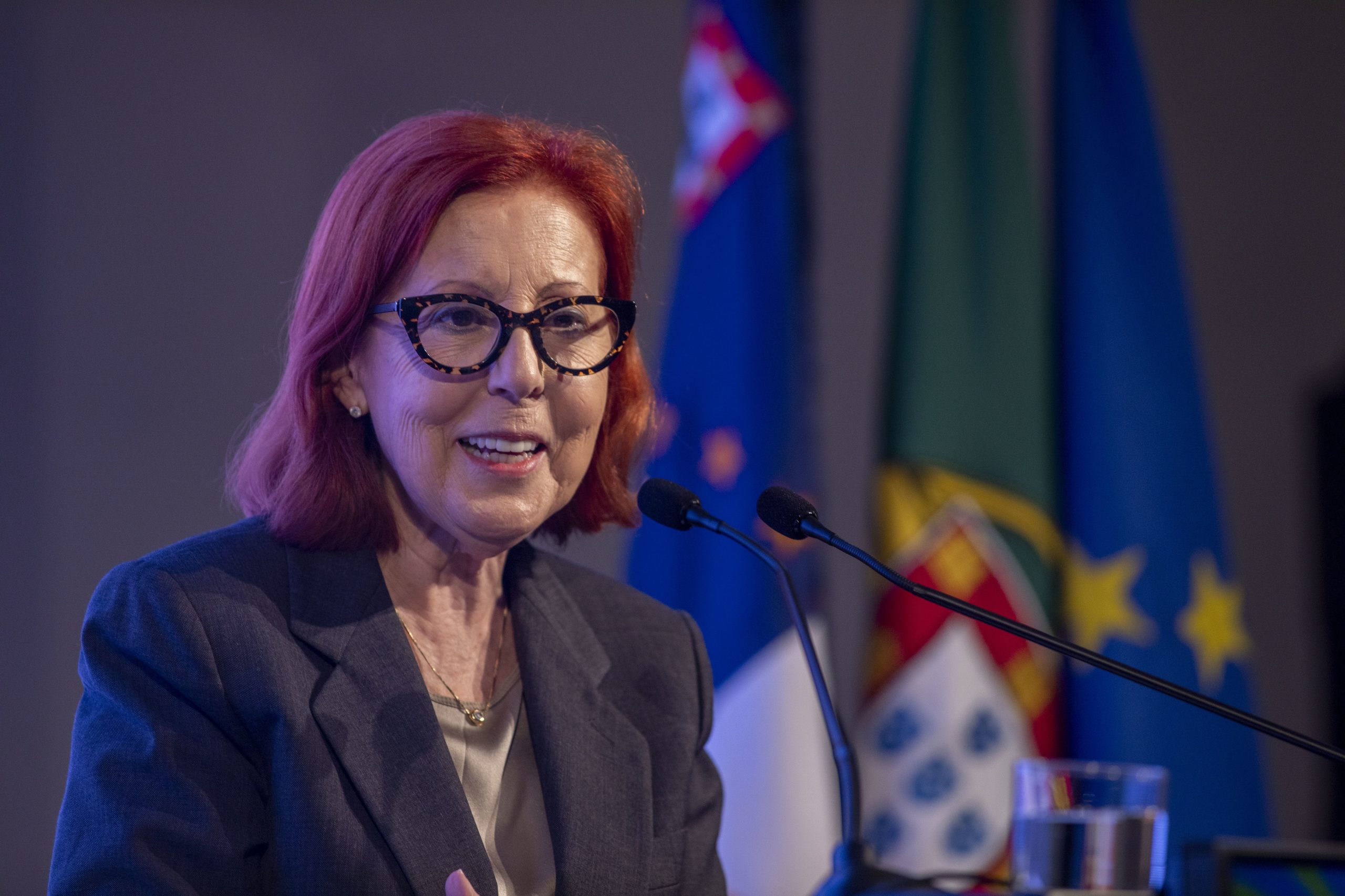 “Isto é mesmo uma guerra”. Portugal encara combate às alterações climáticas como questão de segurança nacional