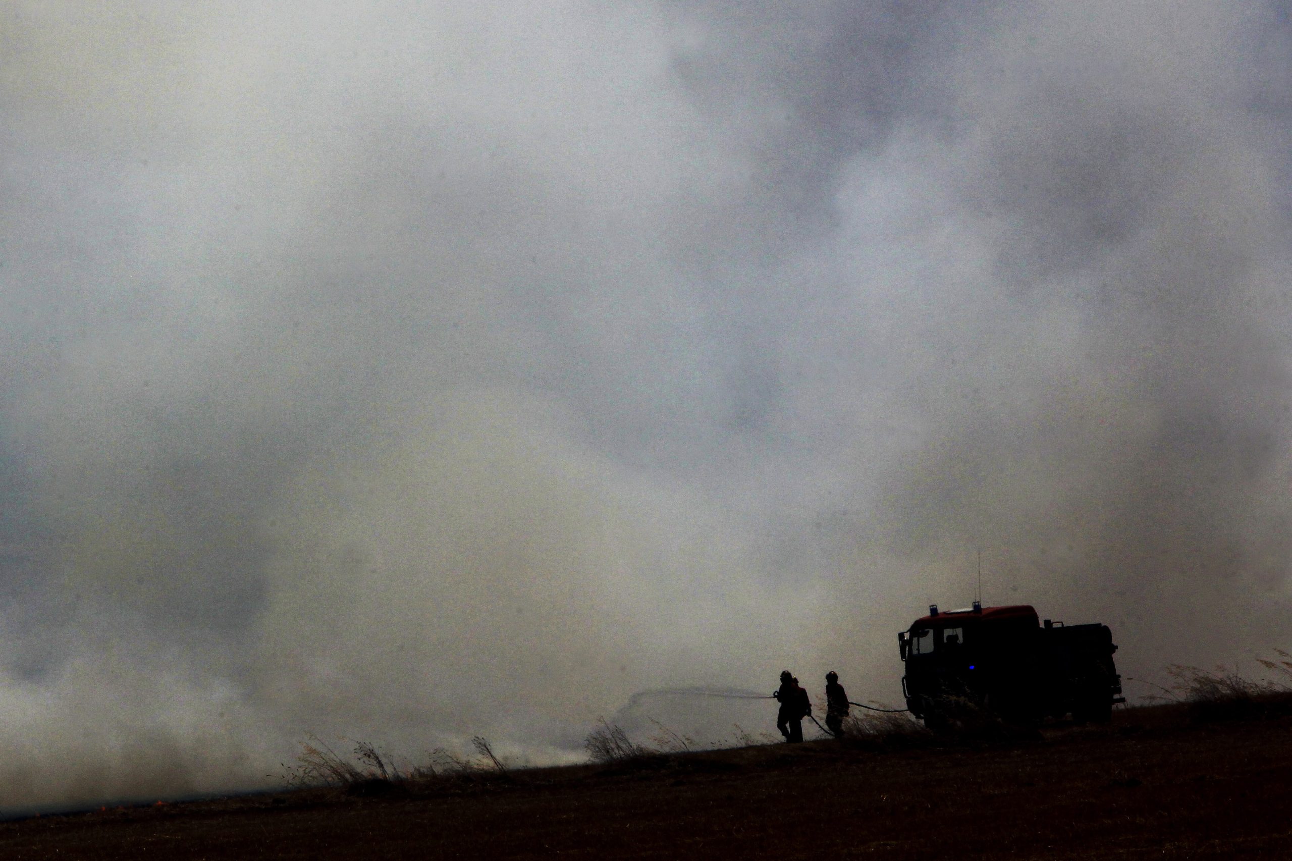 Incêndios: Castro Rego preside ao Observatório Técnico Independente