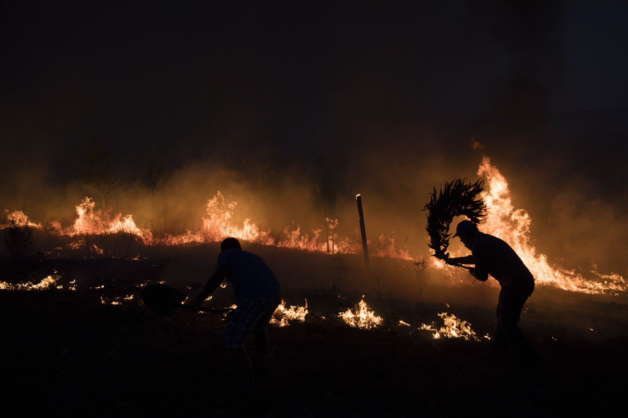 Incêndios: Apoios europeus suspensos com decisão judicial que dá razão a Mação