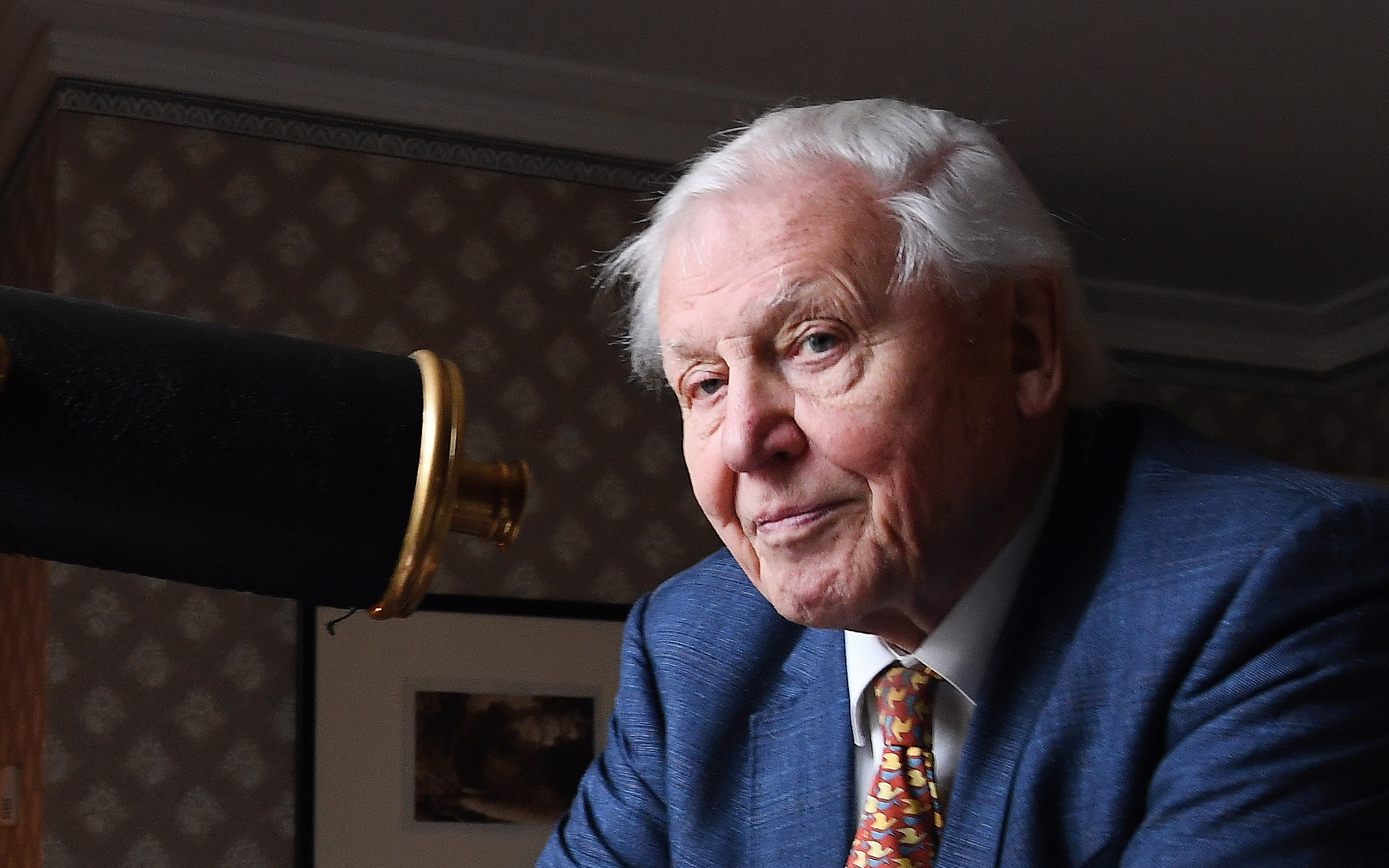 Falsa citação de David Attenborough sobre abelhas surgiu num corredor de centro comercial. Naturalista pediu que fosse retirada