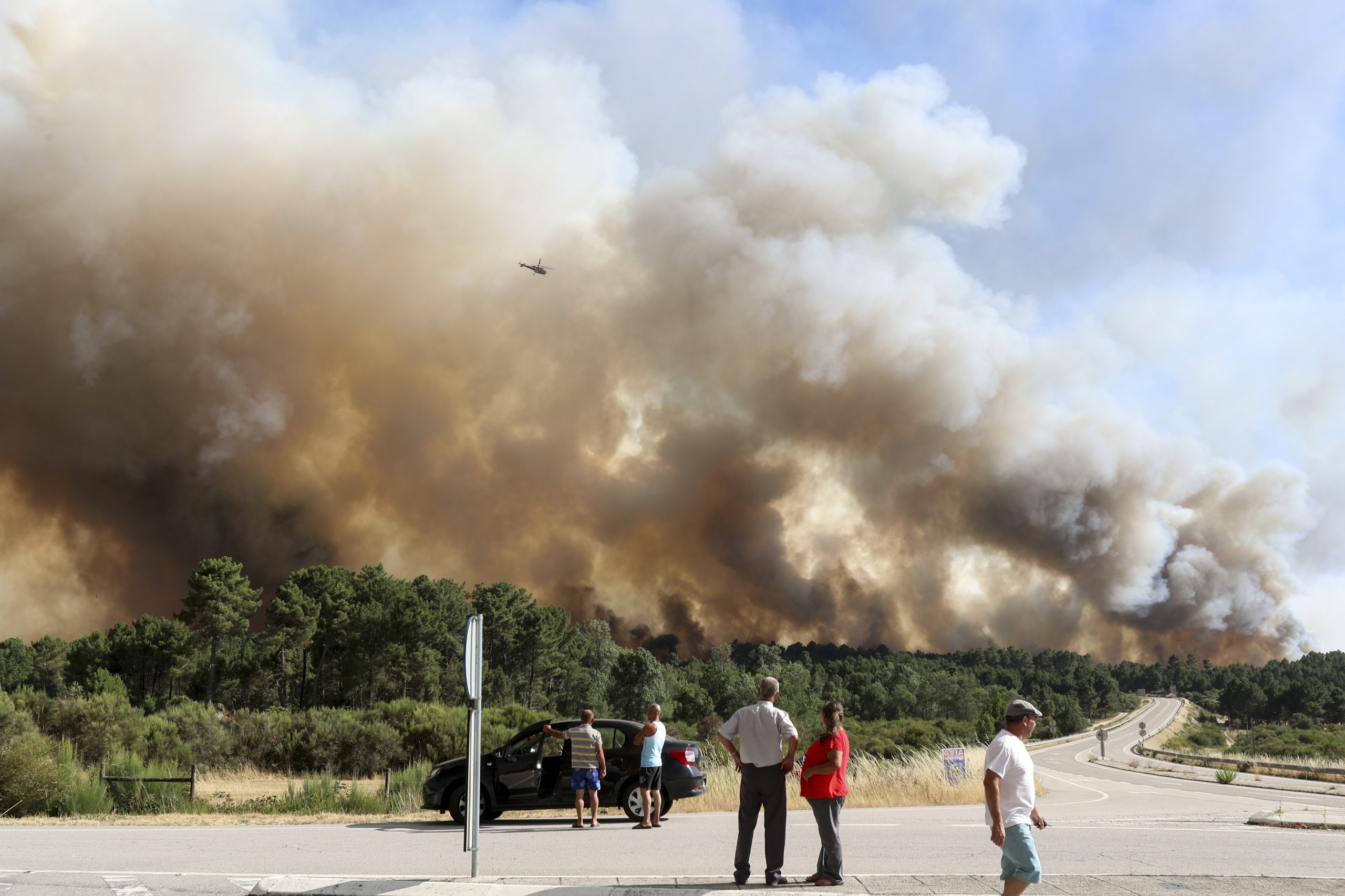 Incêndios: PS adia iniciativa legislativa entre todos os grupos parlamentares sobre apoio às vítimas