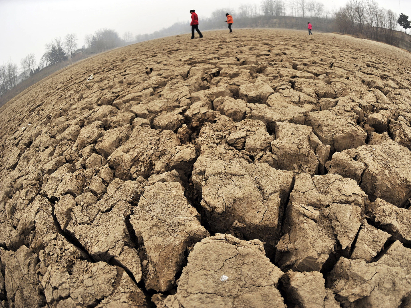 Processo “Pessoas pelo Clima” recorre para Tribunal Europeu de Justiça