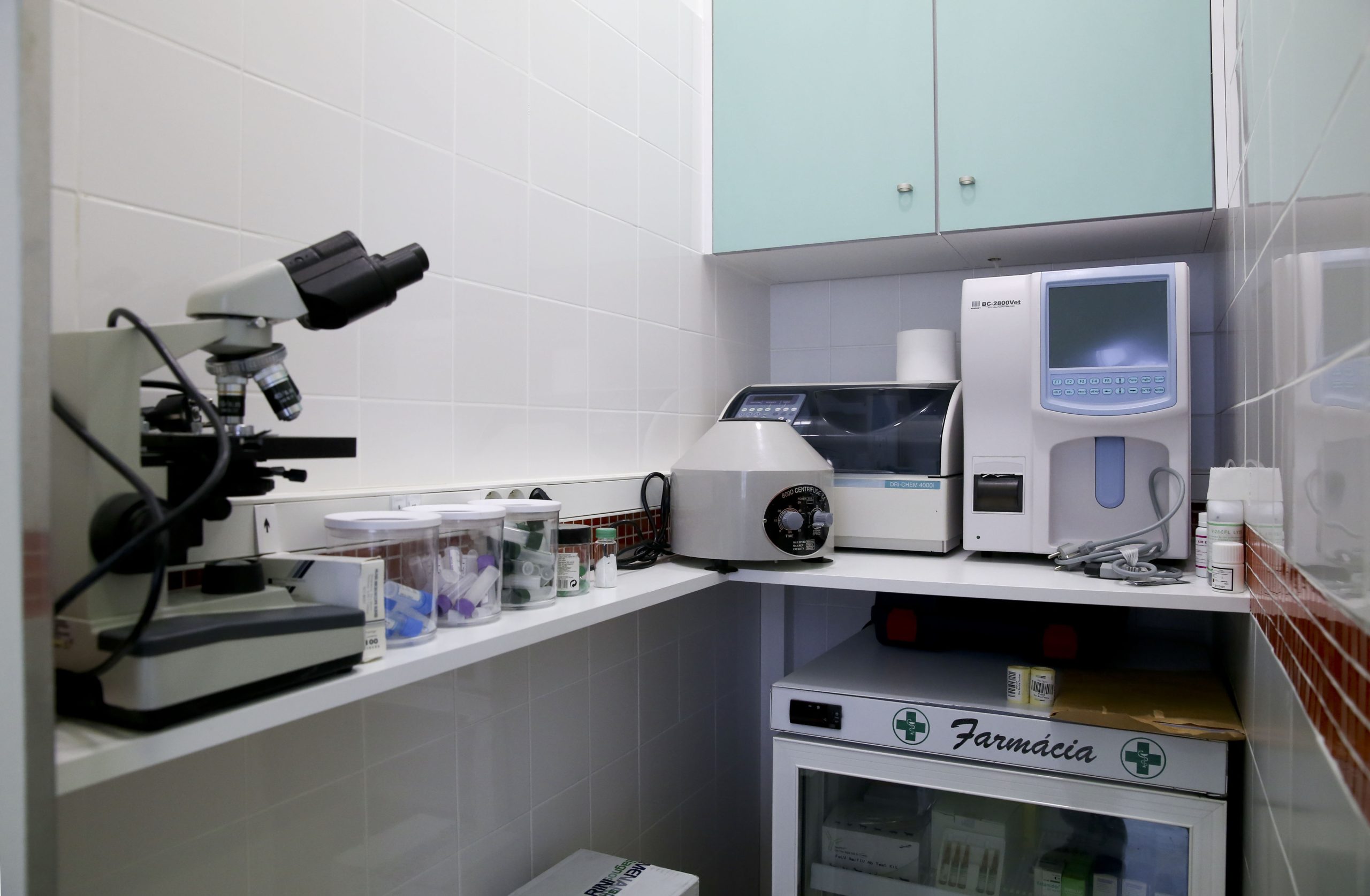 OE2021: IVA dos medicamentos veterinários entre as despesas que abatem ao IRS