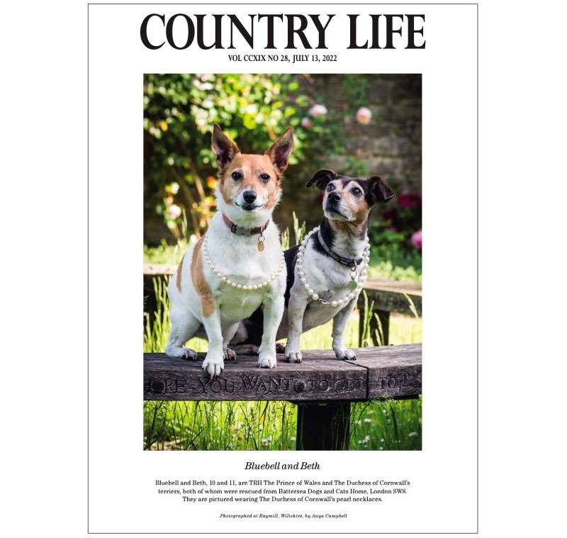 Capa Country life