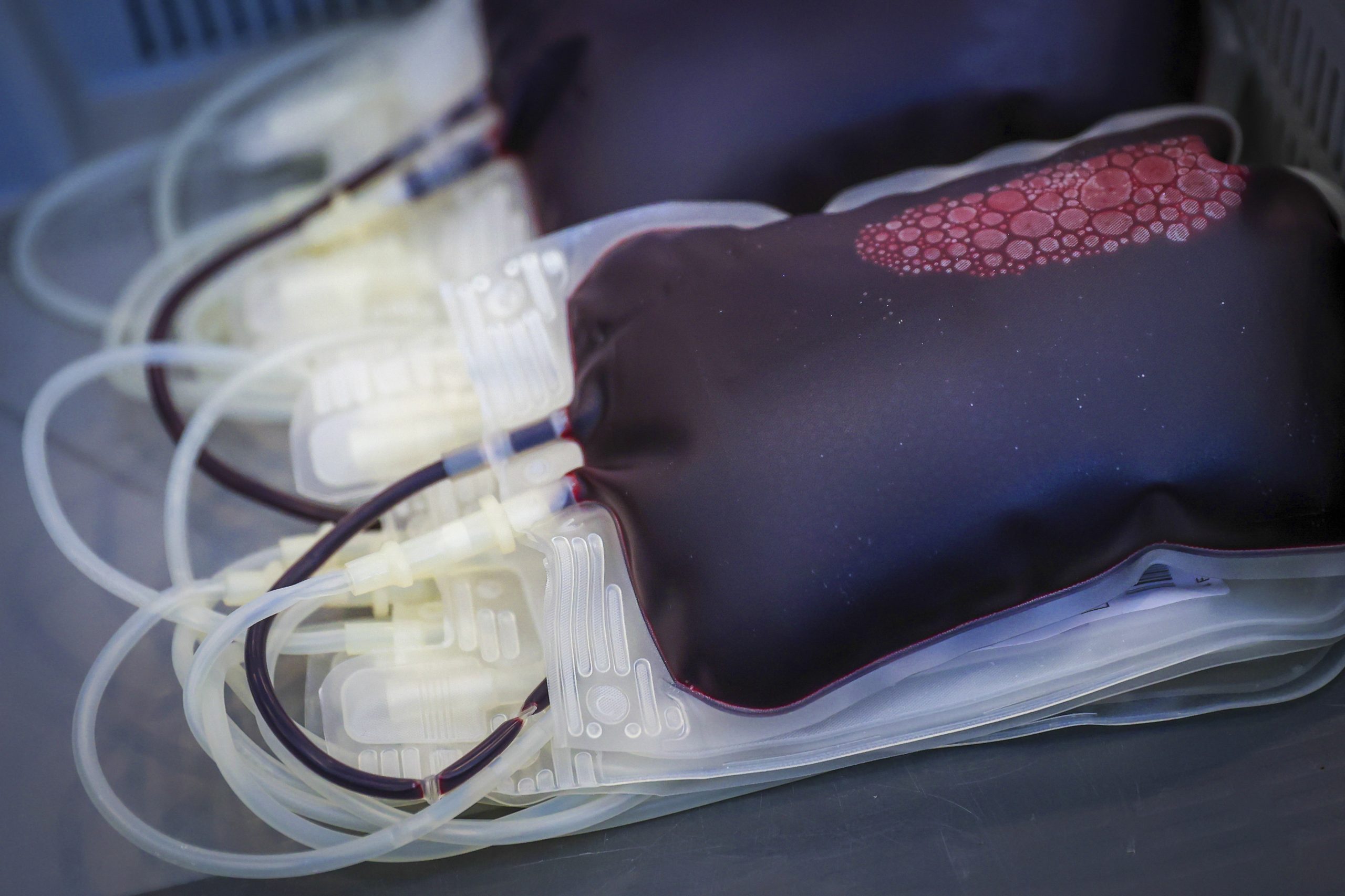 Há falta de sangue A e O em Portugal. IPST apela à doação