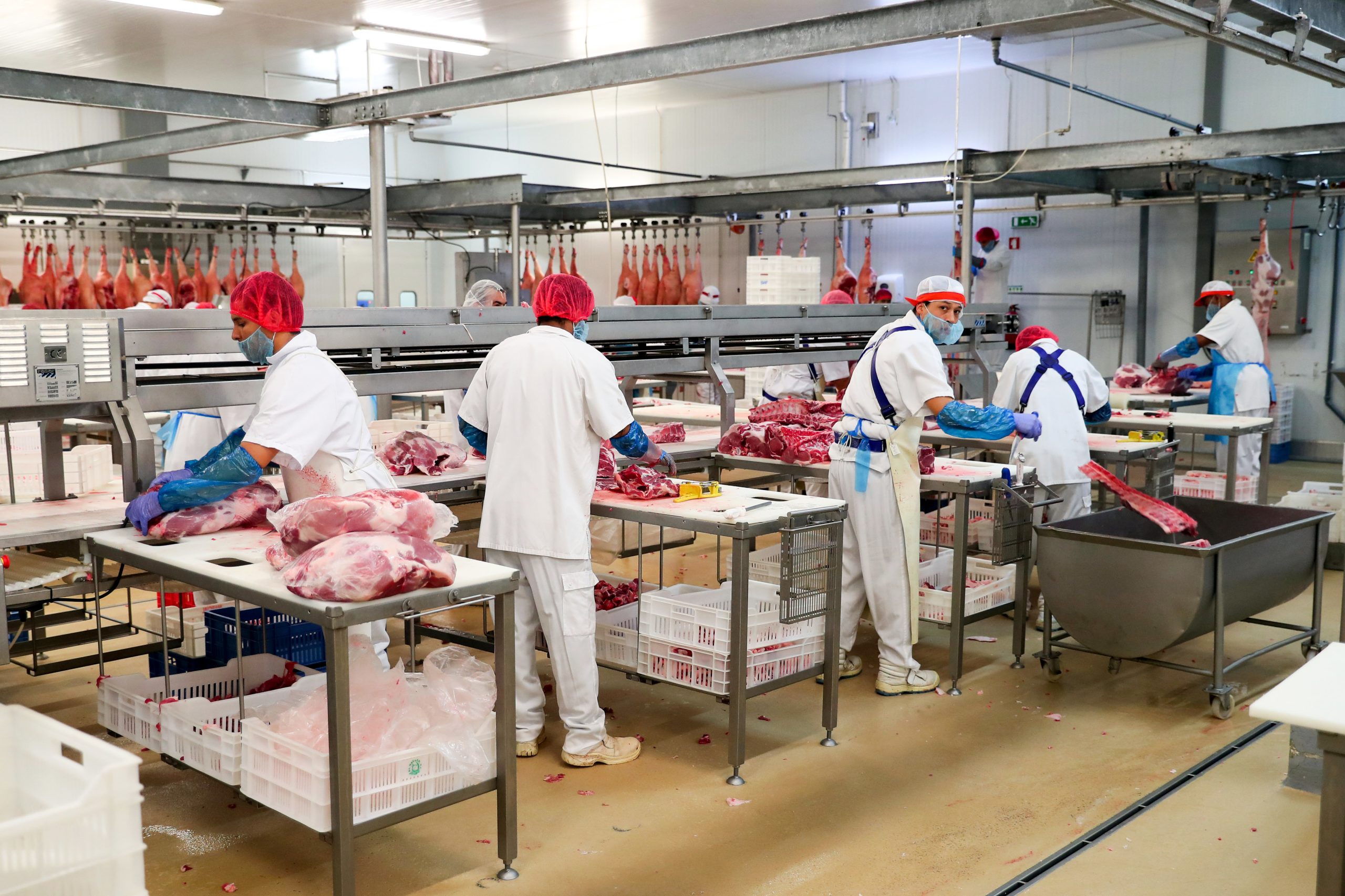 Covid-19: Venda de borrego alentejano na Páscoa prejudicada por diminuição de consumo