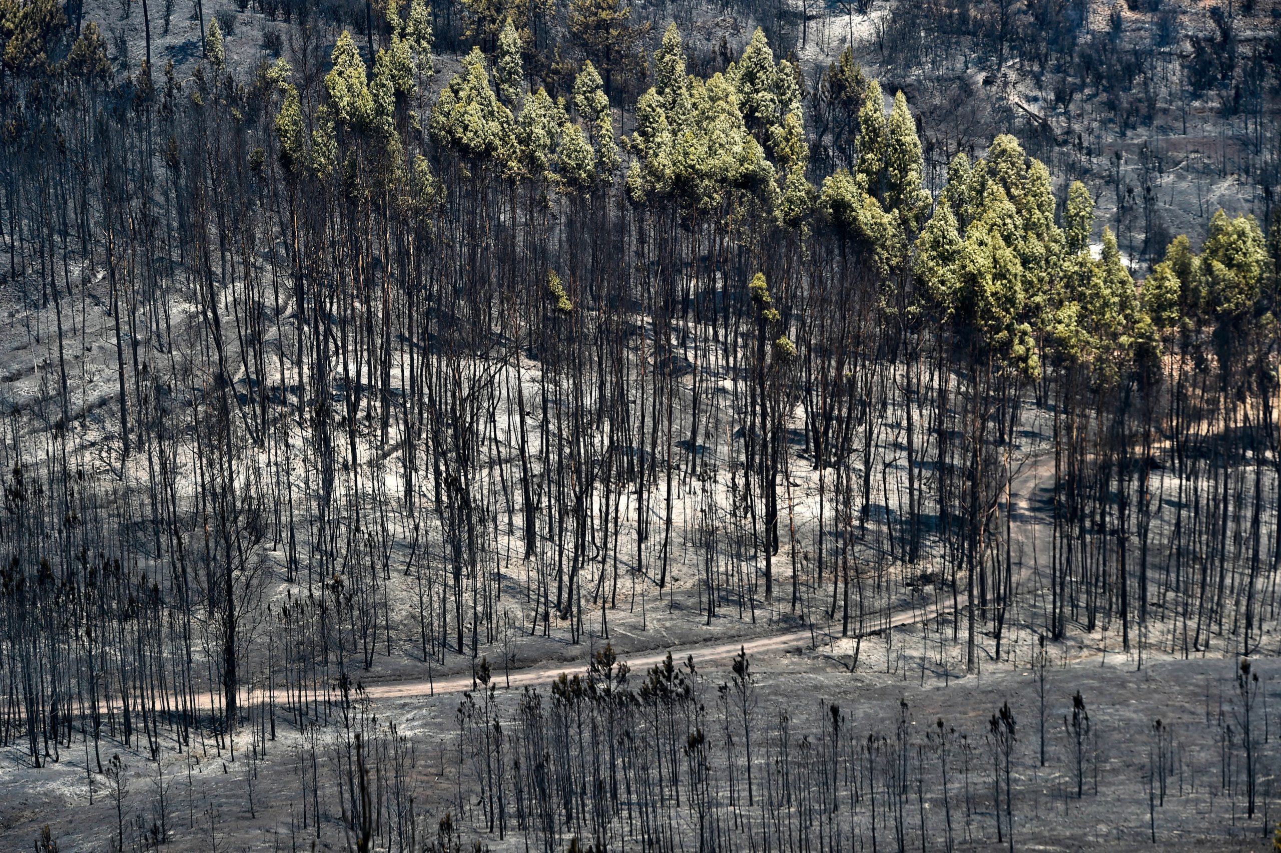 Desativado Plano Municipal de Emergência e Proteção Civil de Nisa
