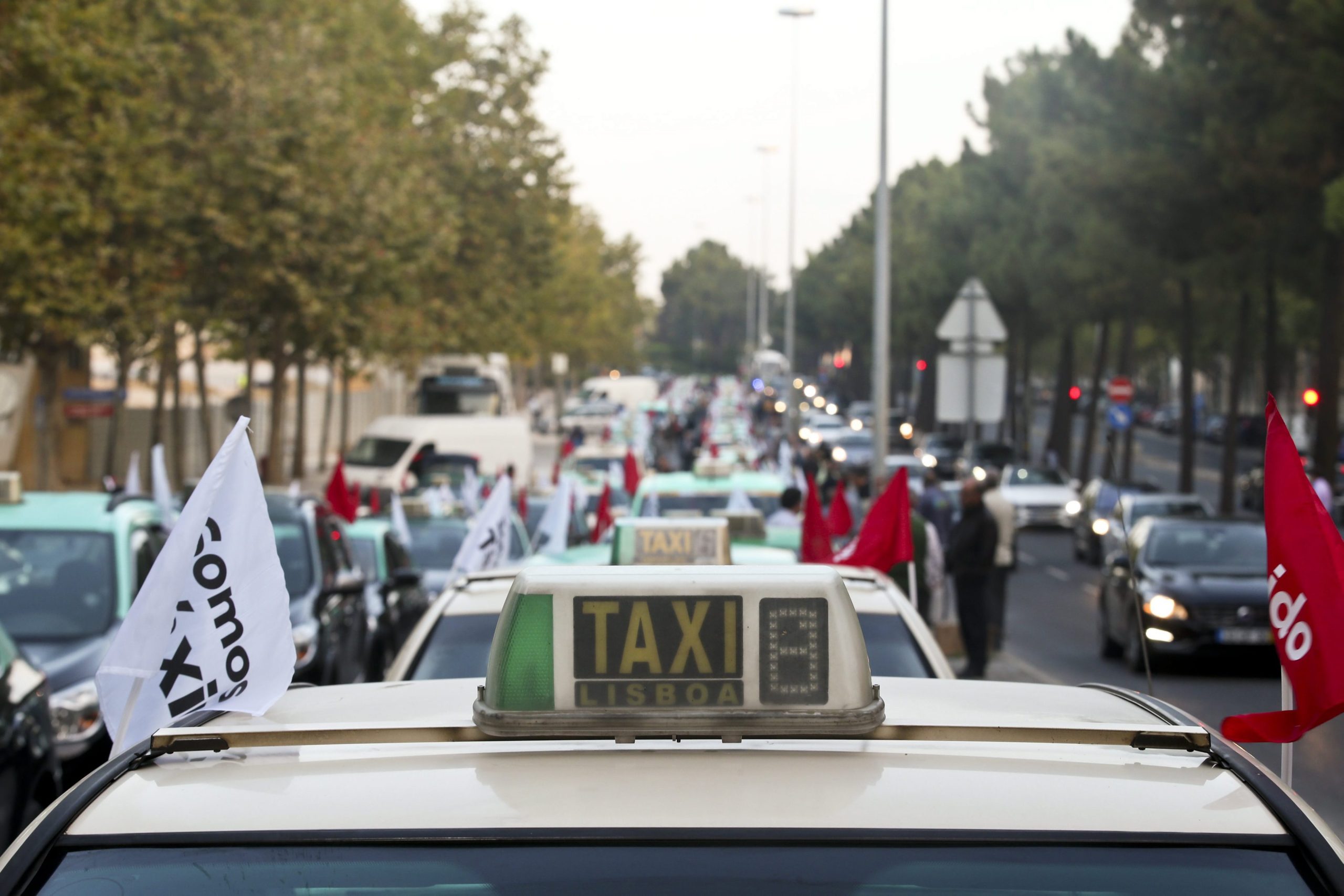 Taxistas adiam manifestação para 19 de setembro no regresso ao trabalho da AR
