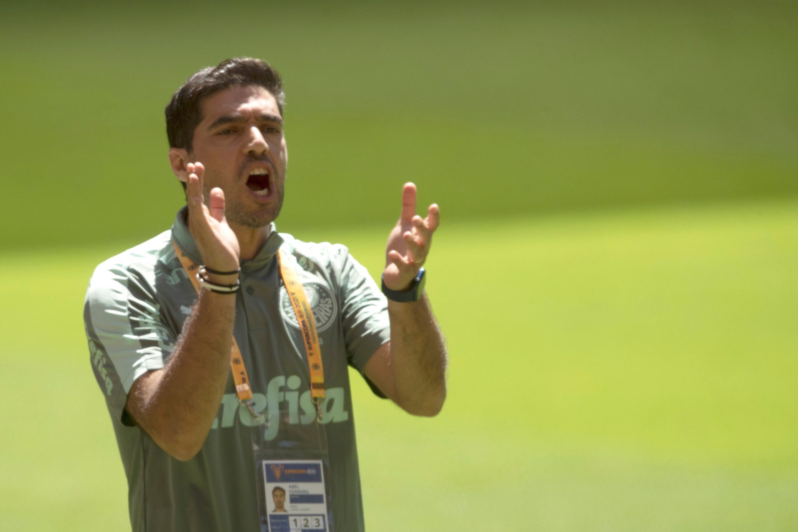 Palmeiras isola-se na liderança do Brasileirão