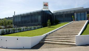 DNA Cascais: em dez anos quase 300 startups nasceram aqui