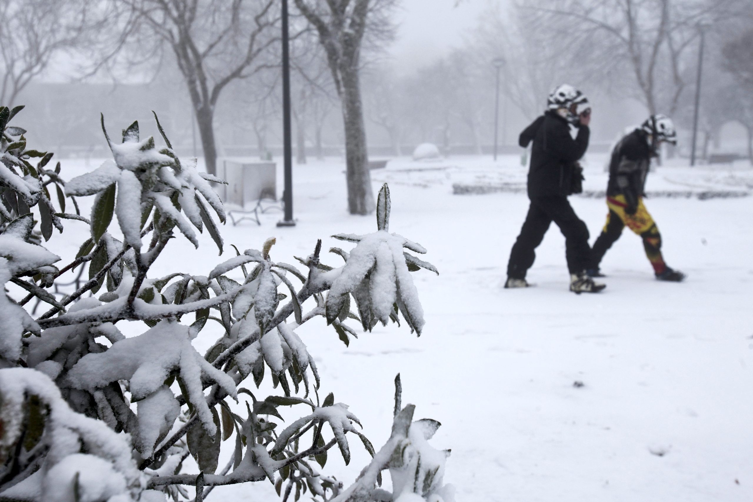Mau tempo: IPMA eleva para laranja aviso para Guarda e Castelo Branco devido à neve