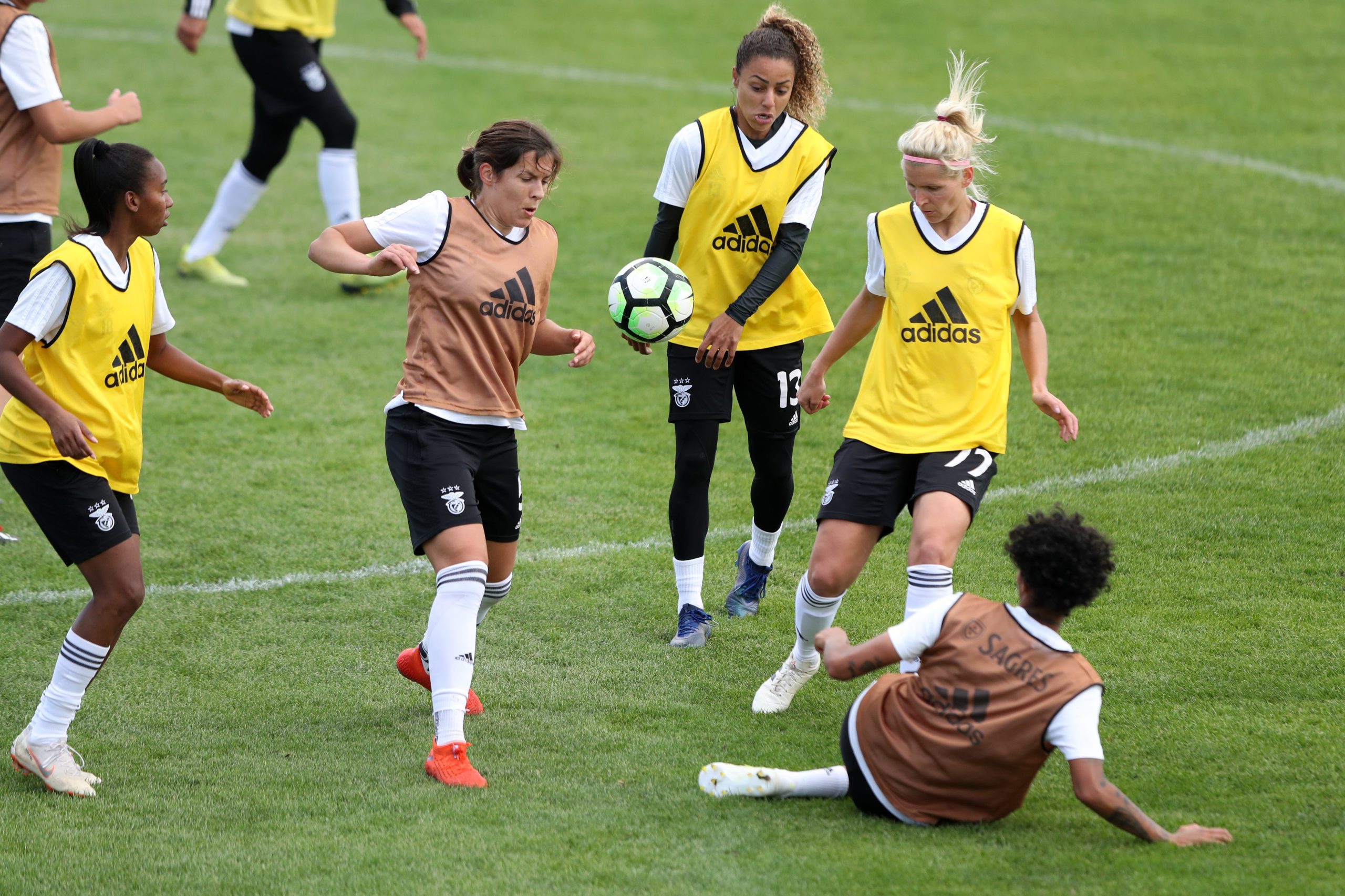 FIFA investe 449 milhões de euros para desenvolver o futebol feminino