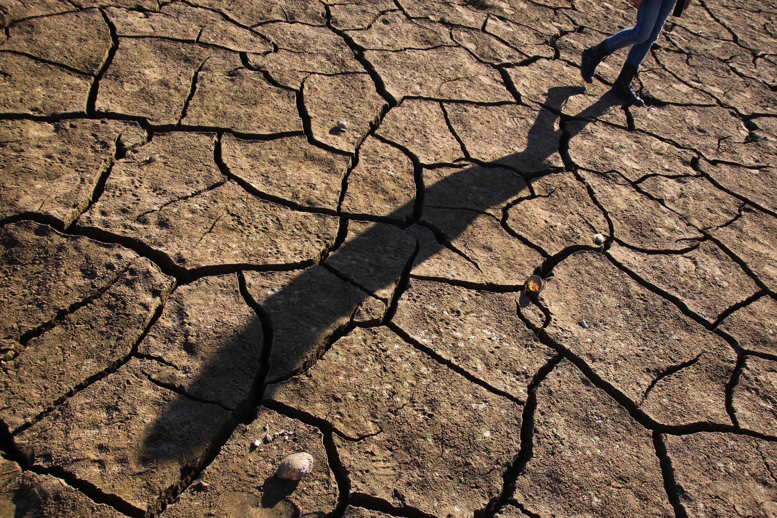 Super El Niño? Dificilmente, mas se surgir, nem tudo são más notícias. Pelo menos para Portugal