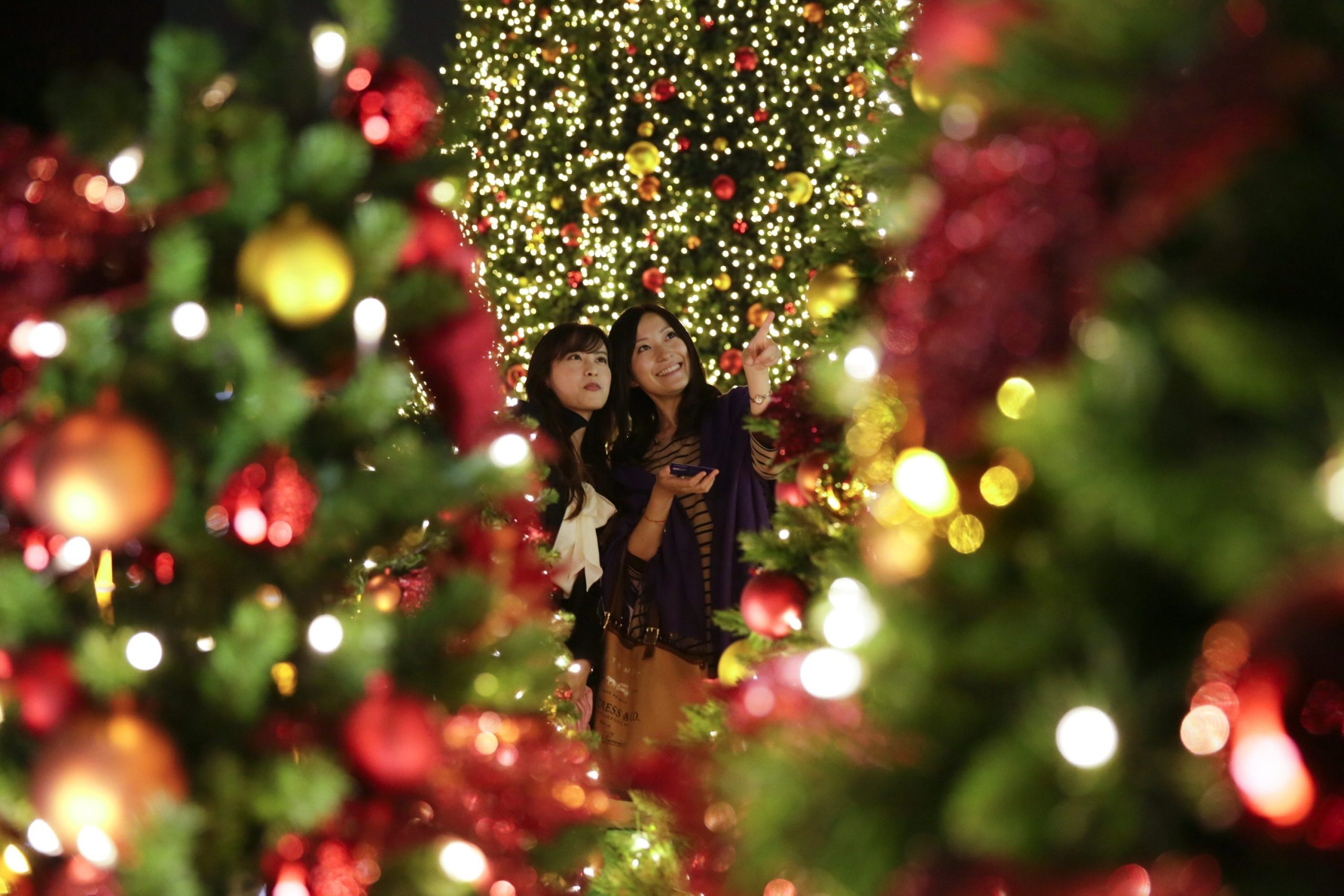 Portugueses dispostos a gastar mais este Natal