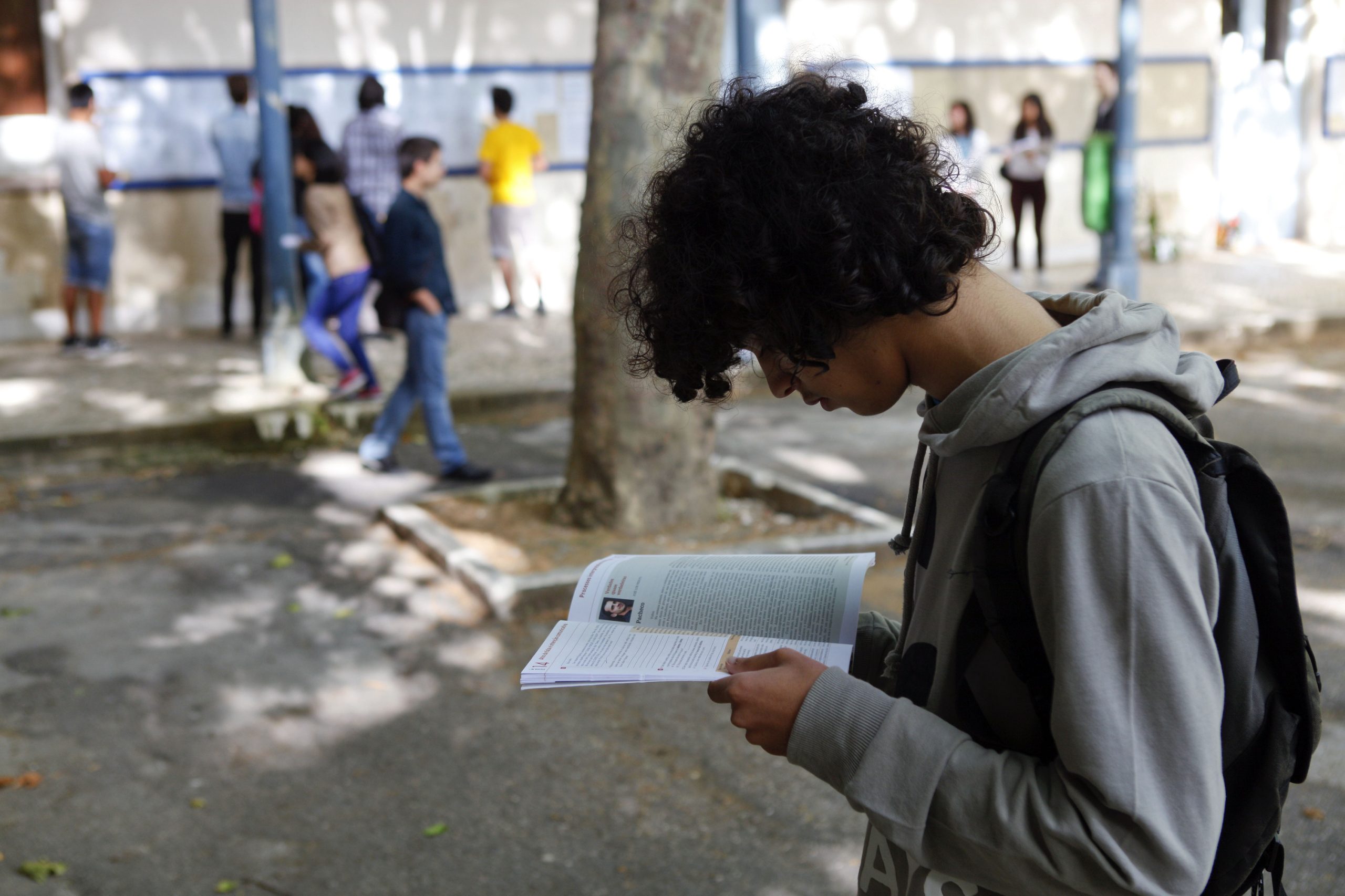 Ranking das Escolas. Maioria das escolas tem positiva a Biologia e Geologia