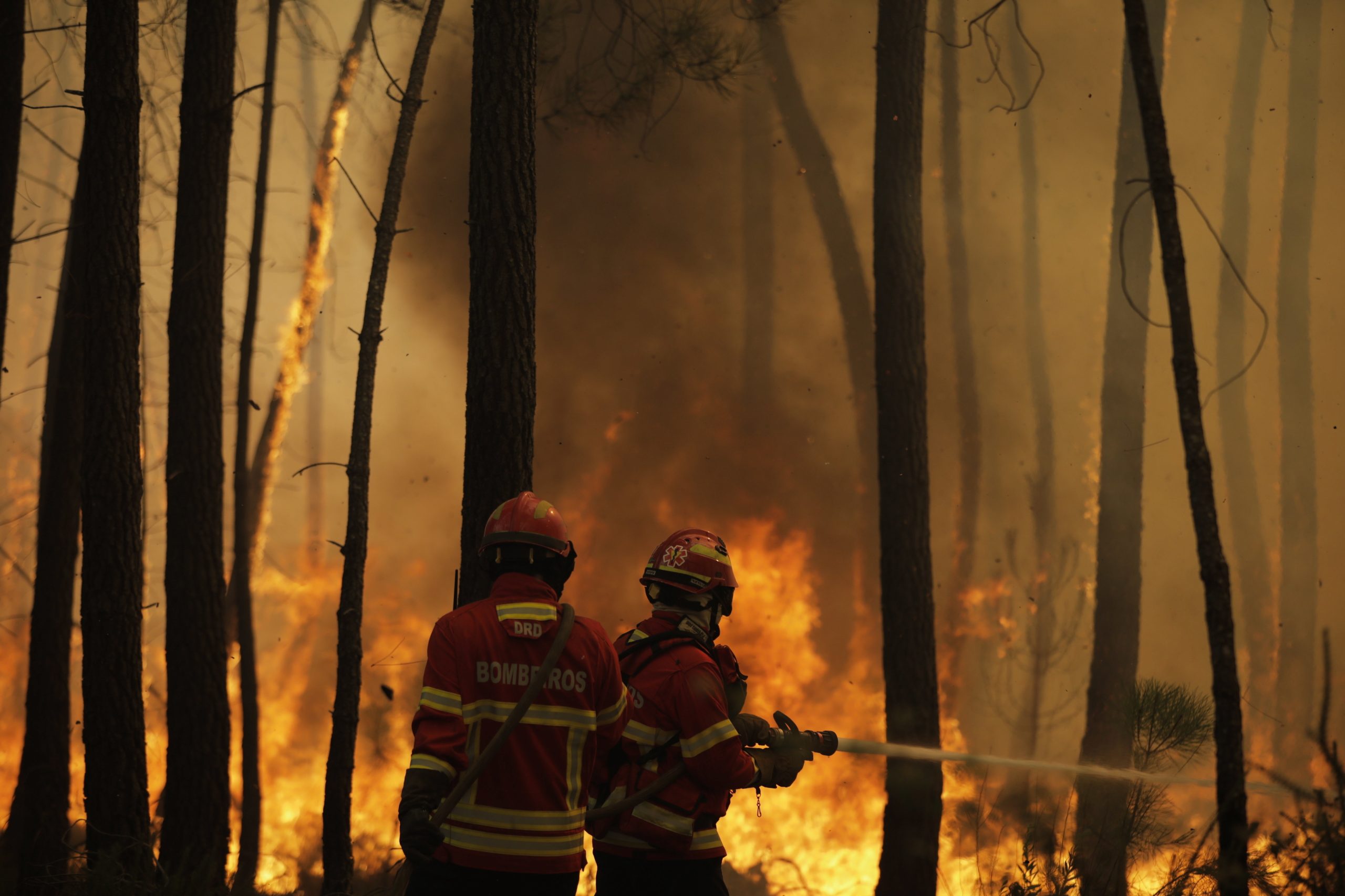 Câmara de Oleiros prevê um prejuízo de sete milhões de euros por causa dos incêndios