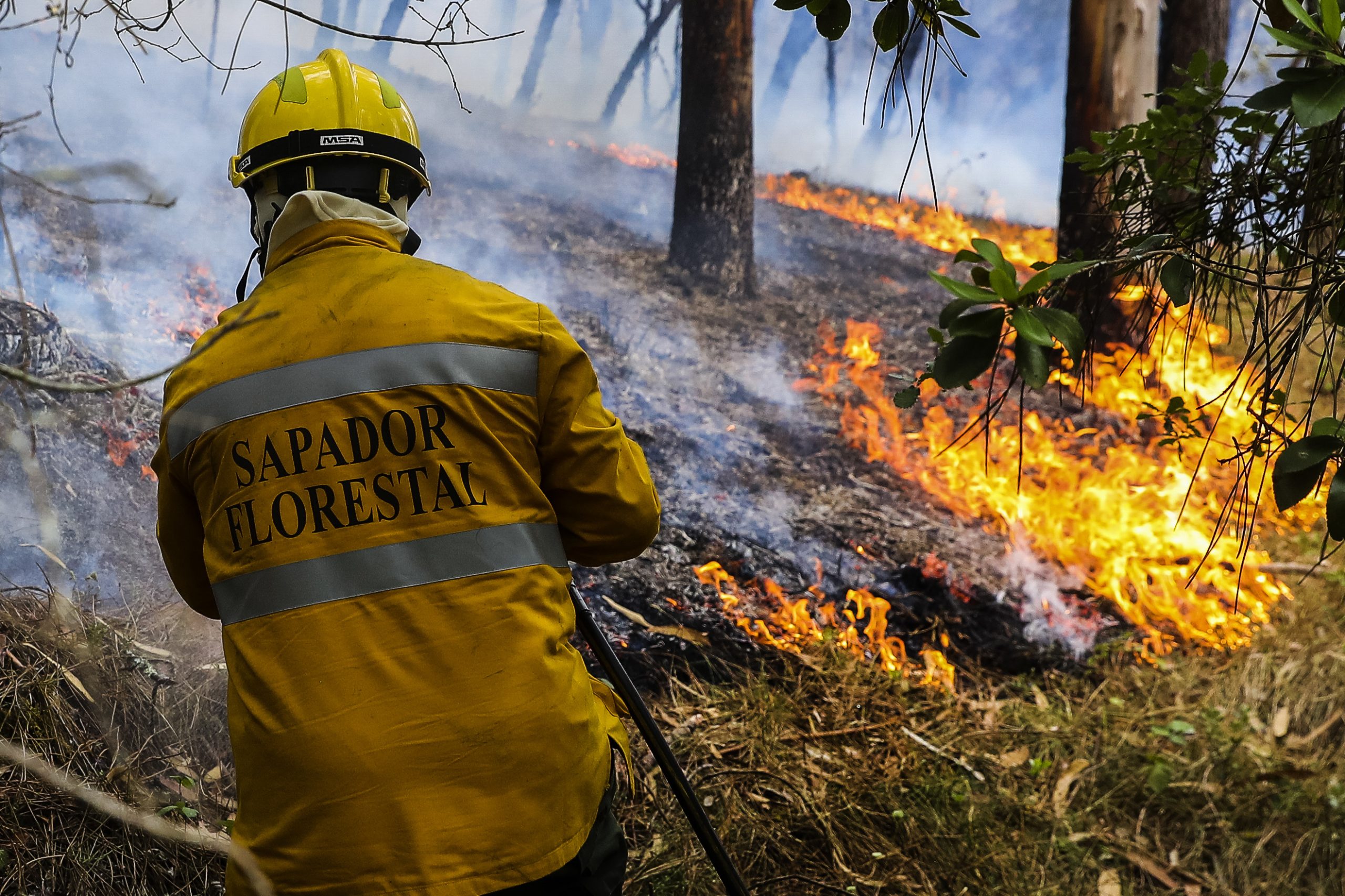 Ministro anuncia 122 milhões de euros em fundos europeus para apoiar bombeiros e autarquias