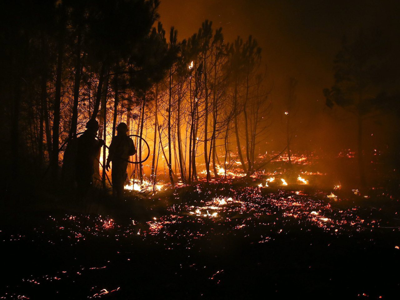 Incêndios: Pampilhosa da Serra necessita de três milhões para vias municipais e habitações
