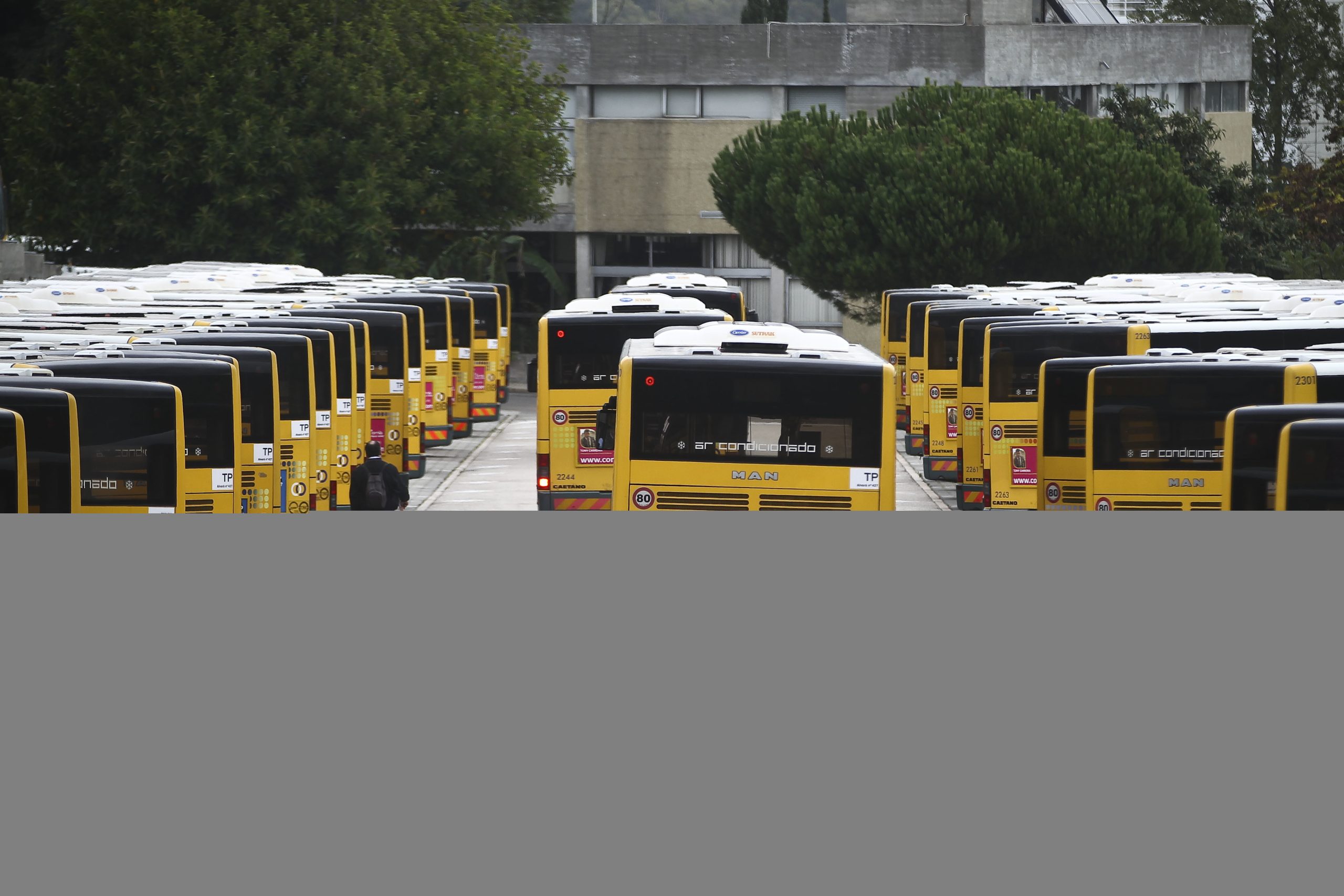 Carris propõe aos motoristas abono de 10 euros por hora durante a Jornada Mundial da Juventude