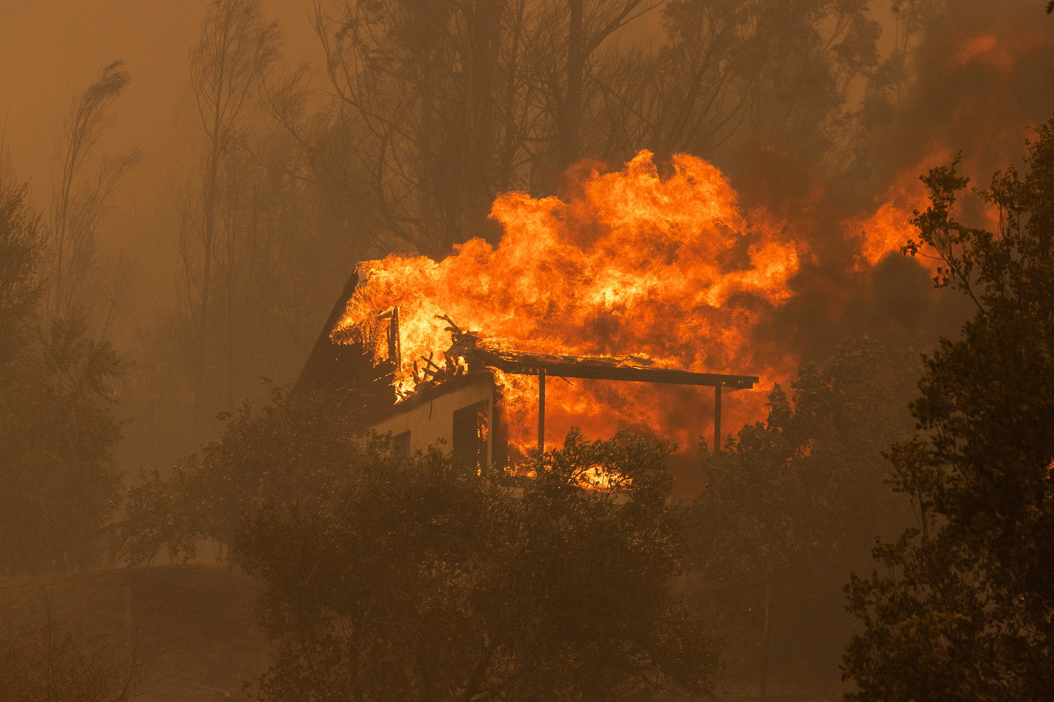 Estudo afirma que os incêndios vão matar mais 1,4 milhões de pessoas por ano