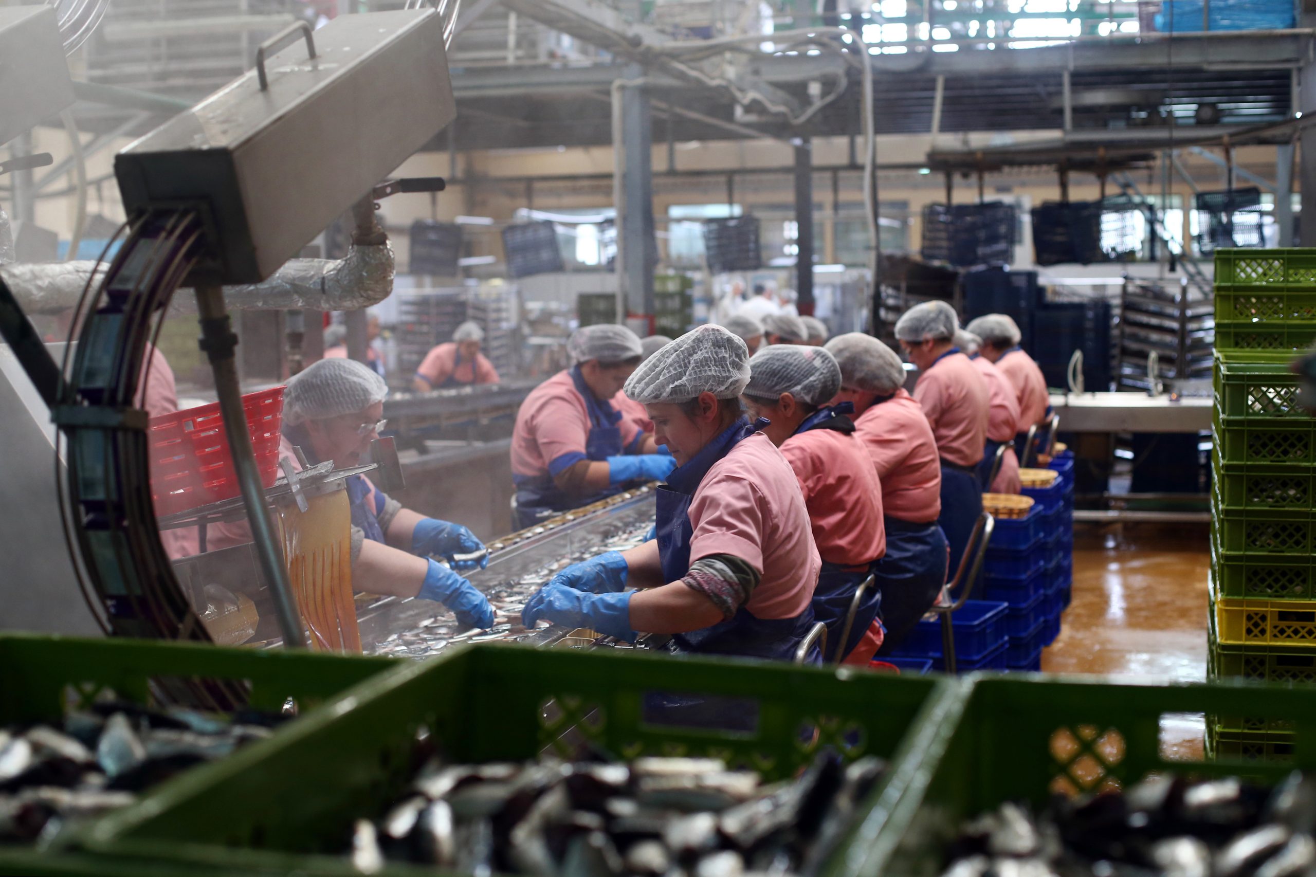 Portugal superou no ano passado taxa de emprego prevista para 2020
