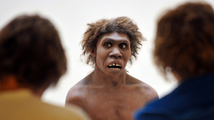 Humanos modernos tiveram filhos com Neandertais há 100 mil anos
