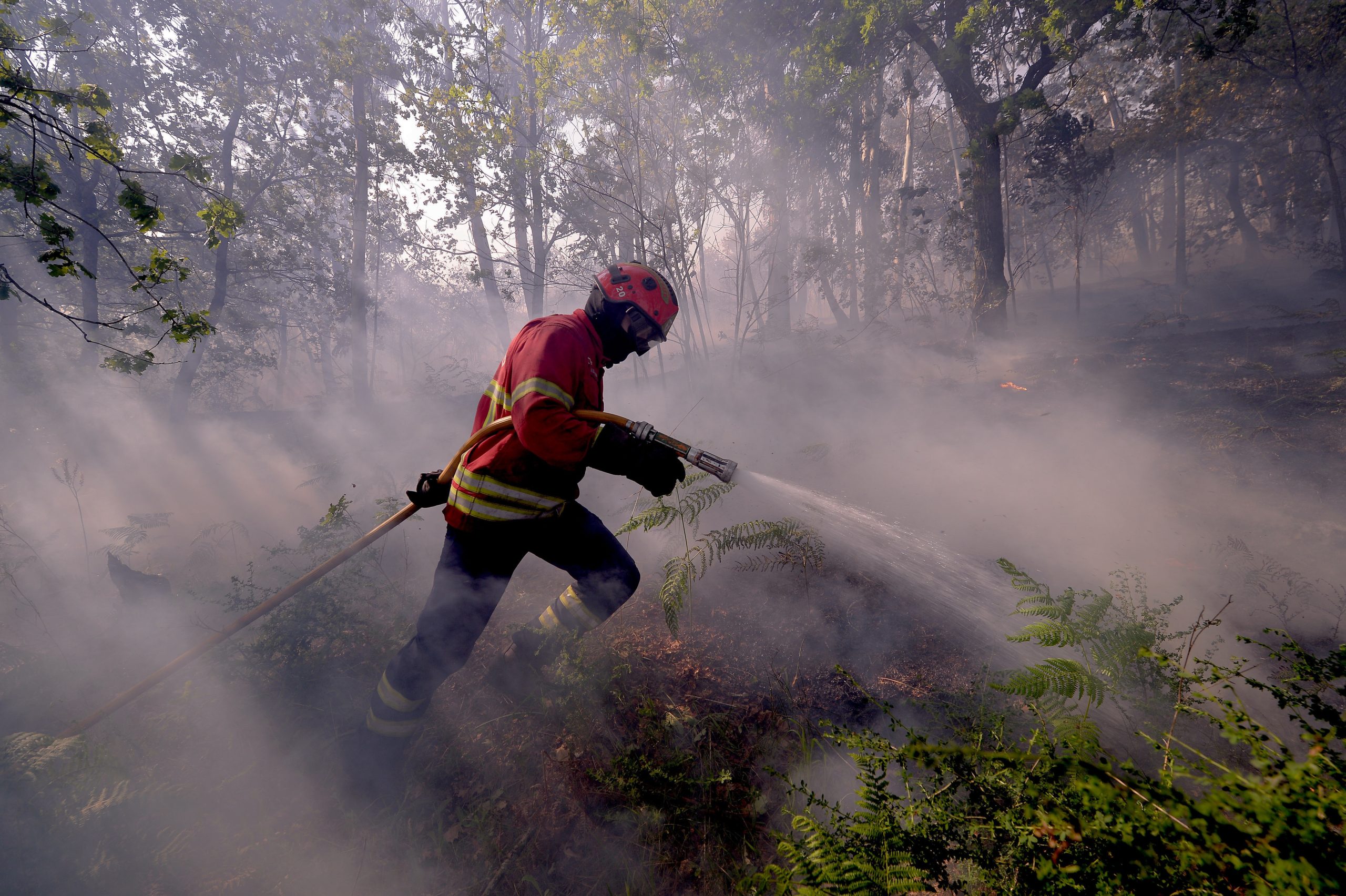Fogos em Castelo Branco mobilizam mais de 1400 bombeiros