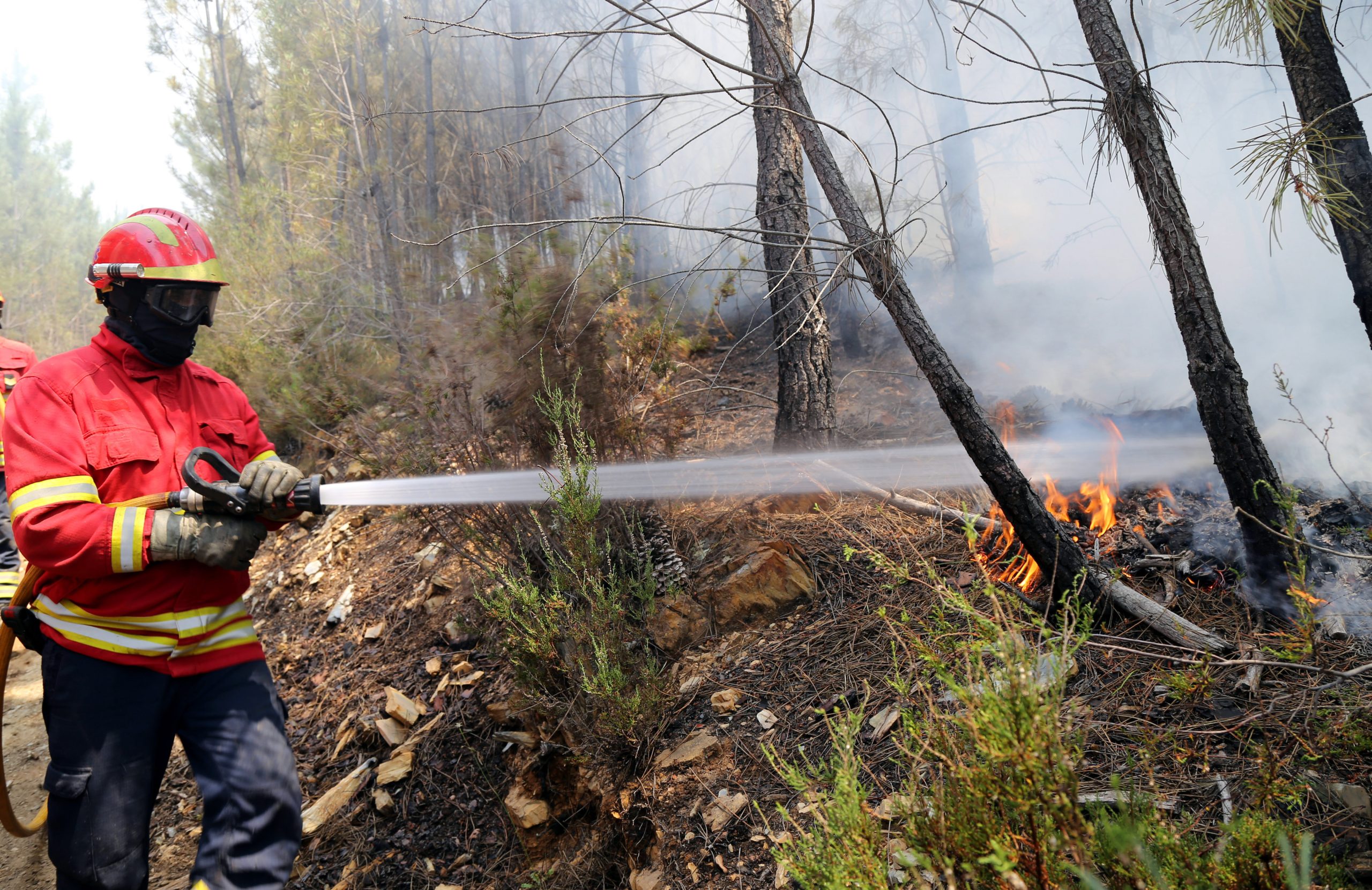 Os incêndios passaram e transformaram Álvaro, em Oleiros, numa “aldeia fantasma”
