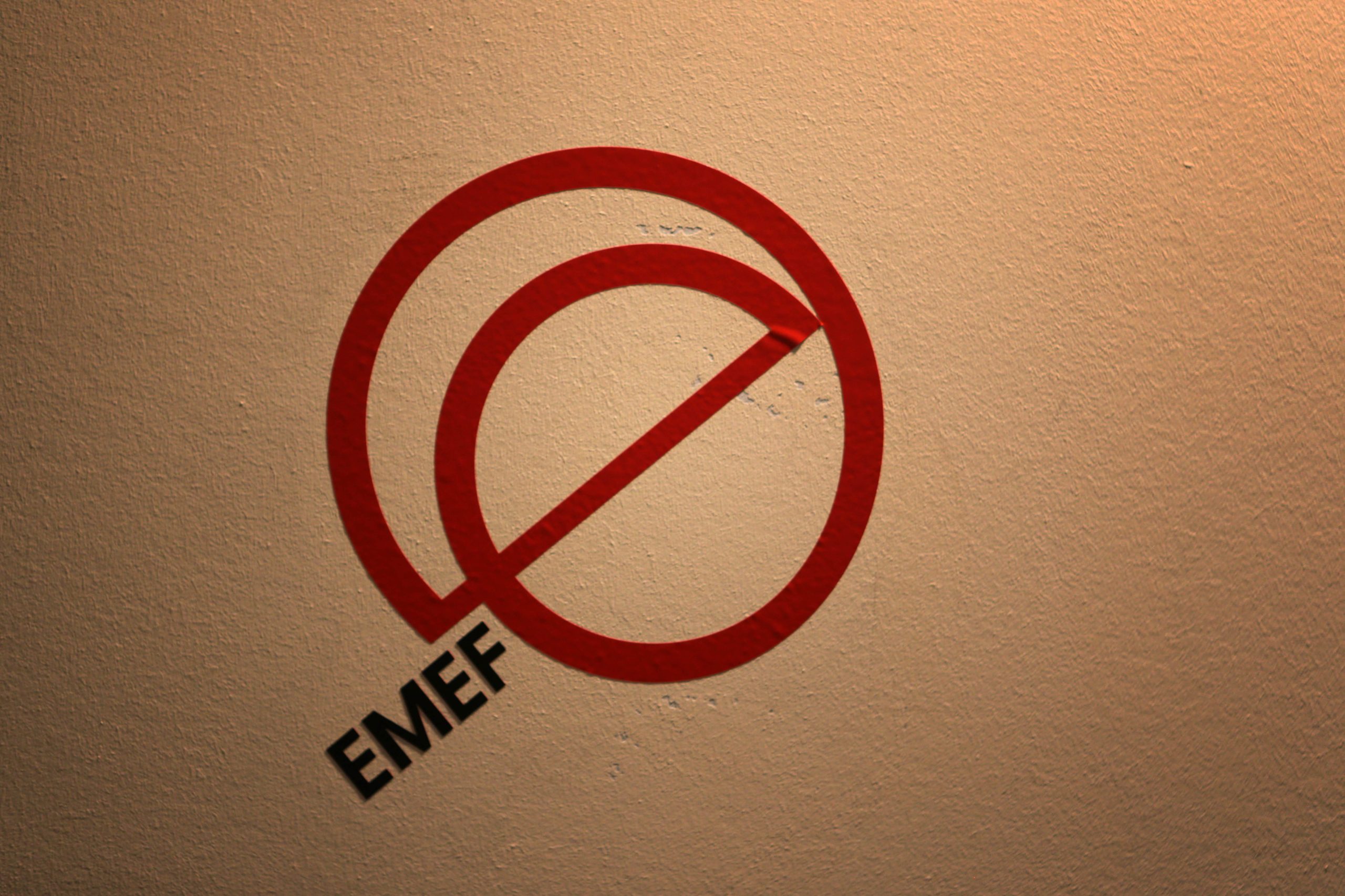 EMEF terá unidades autónomas com Medway e Metro do Porto