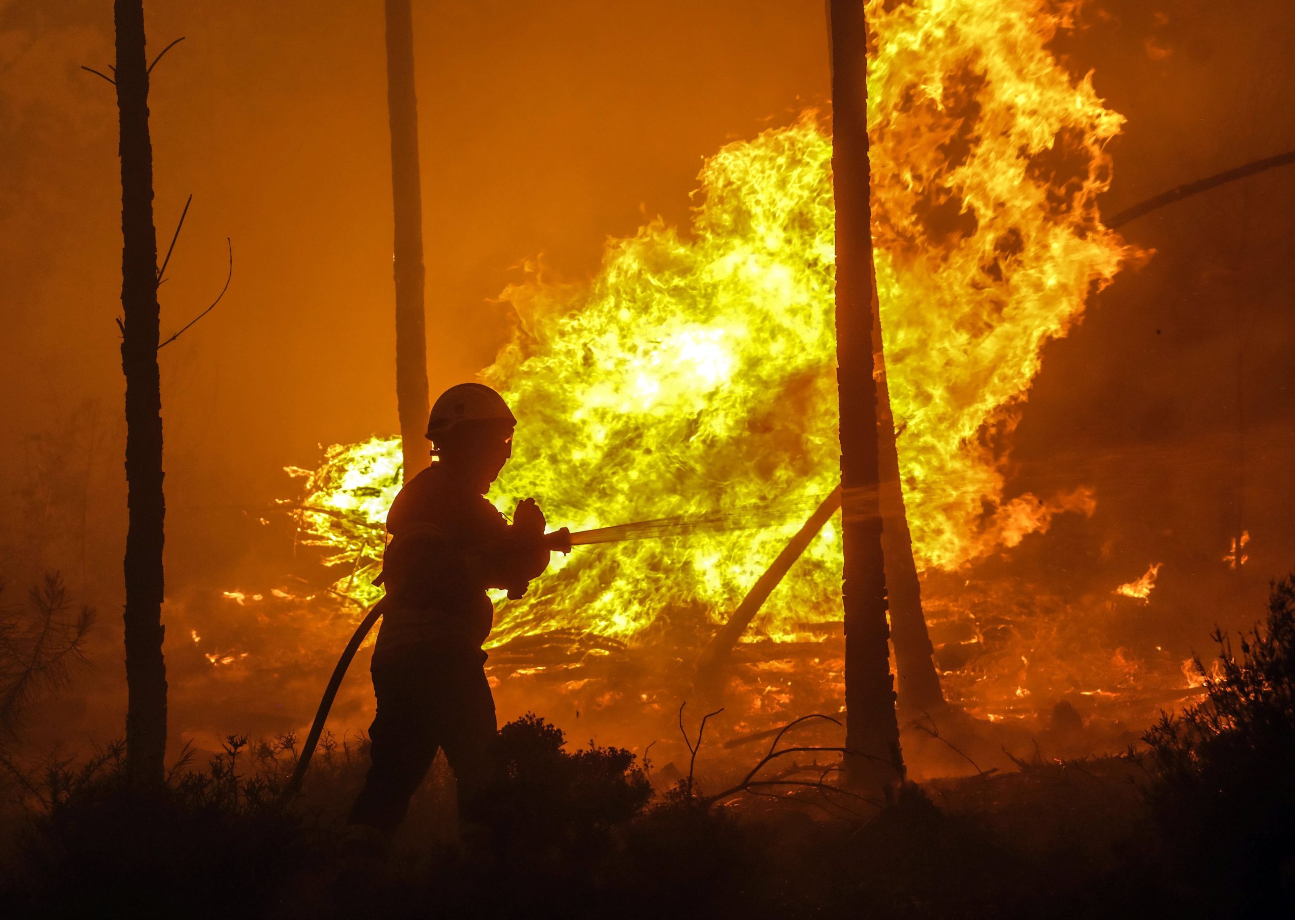 Incêndios: Estado não consegue resolver número recorde de ignições, diz especialista