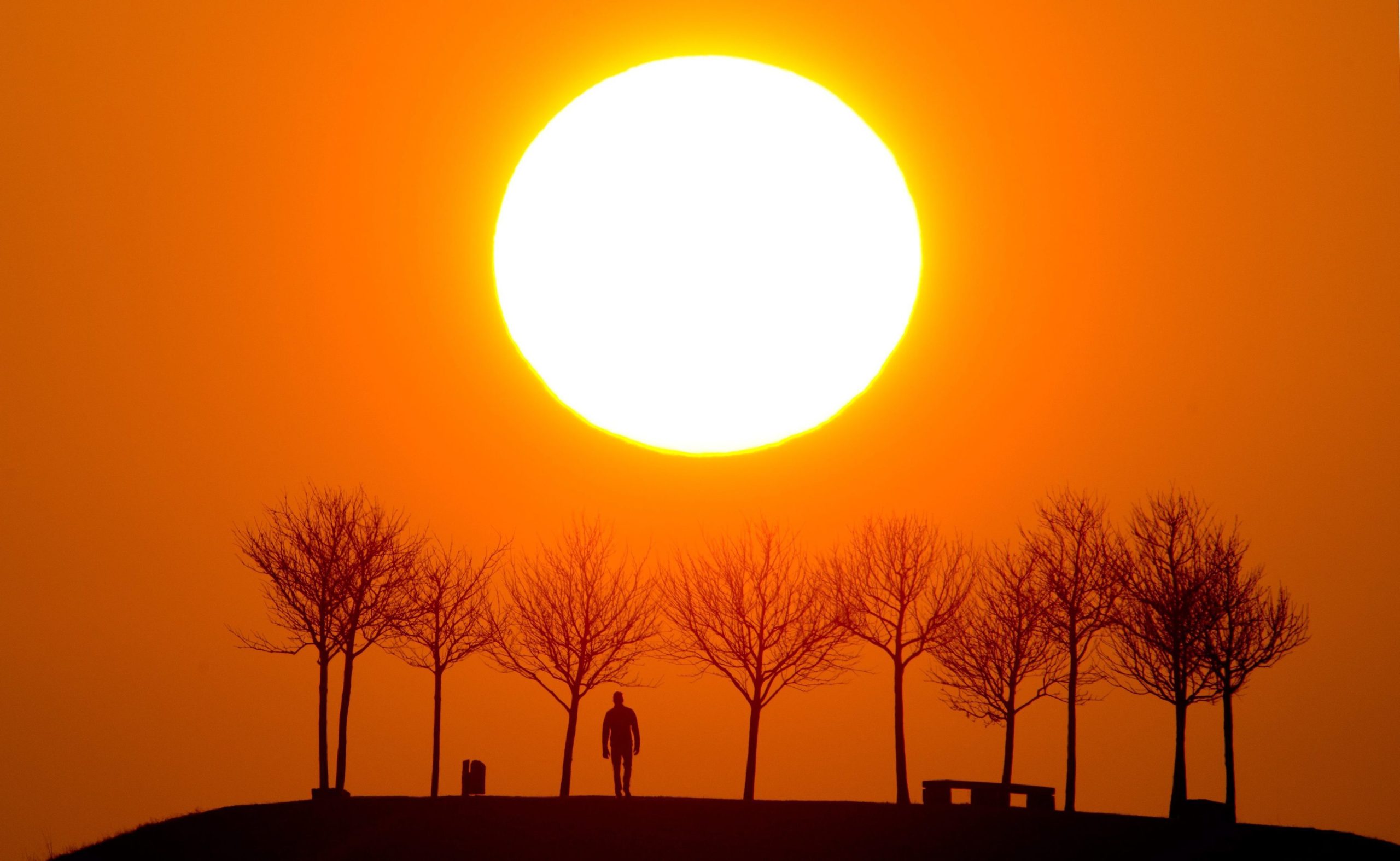Forças Armadas reforçam apoio à proteção civil durante onda de calor dos próximos dias